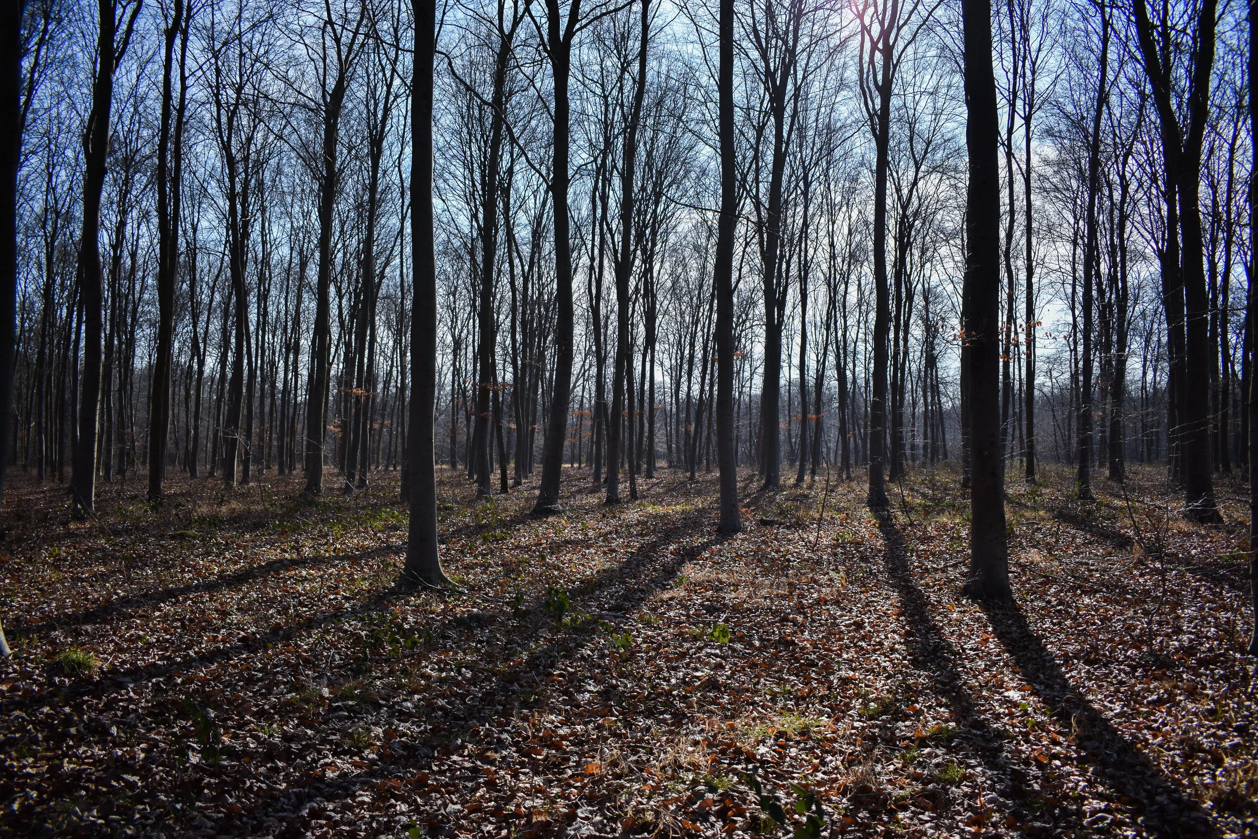 DSC_0840-2.jpg