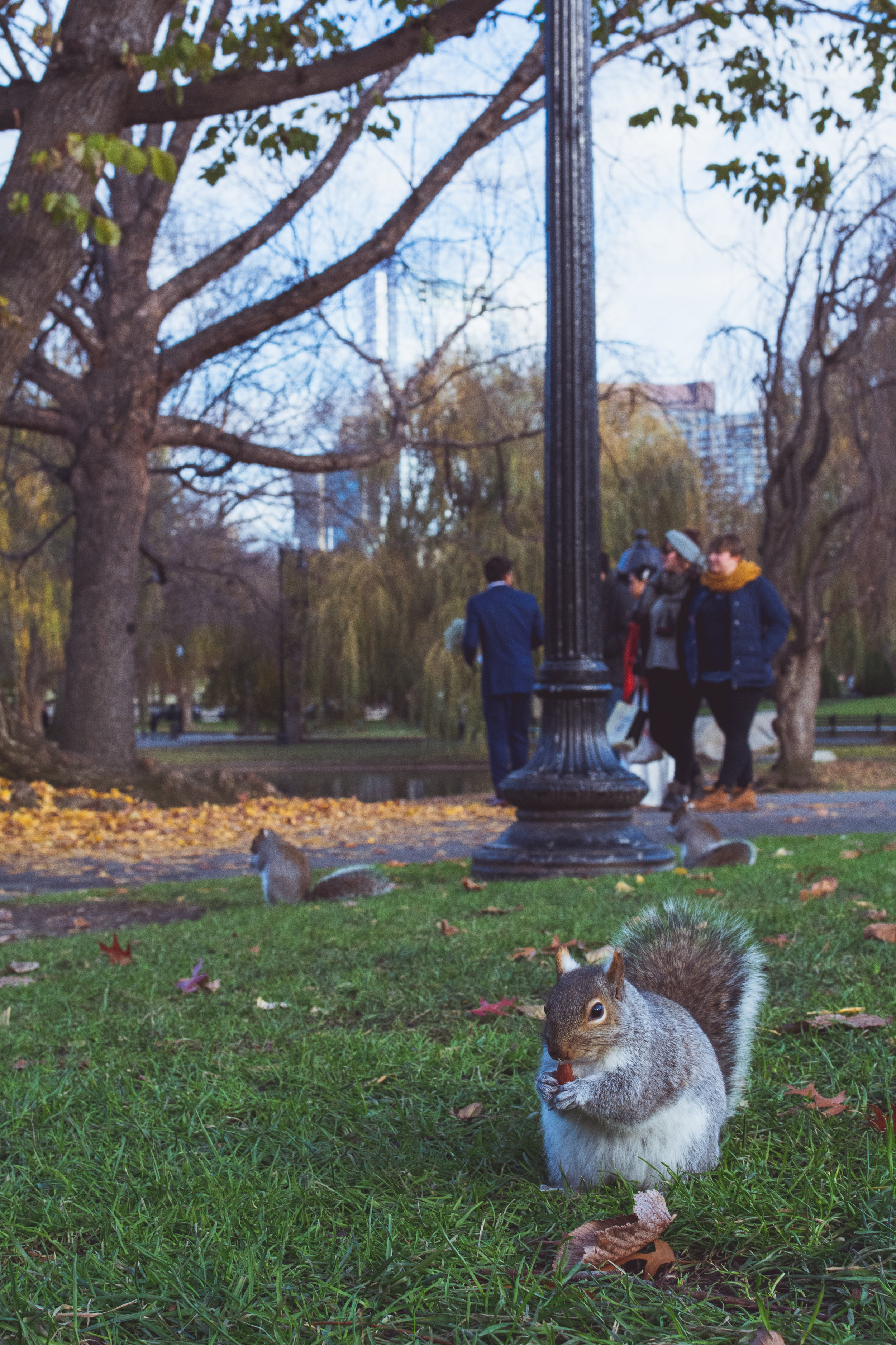 DSC_2291.jpg