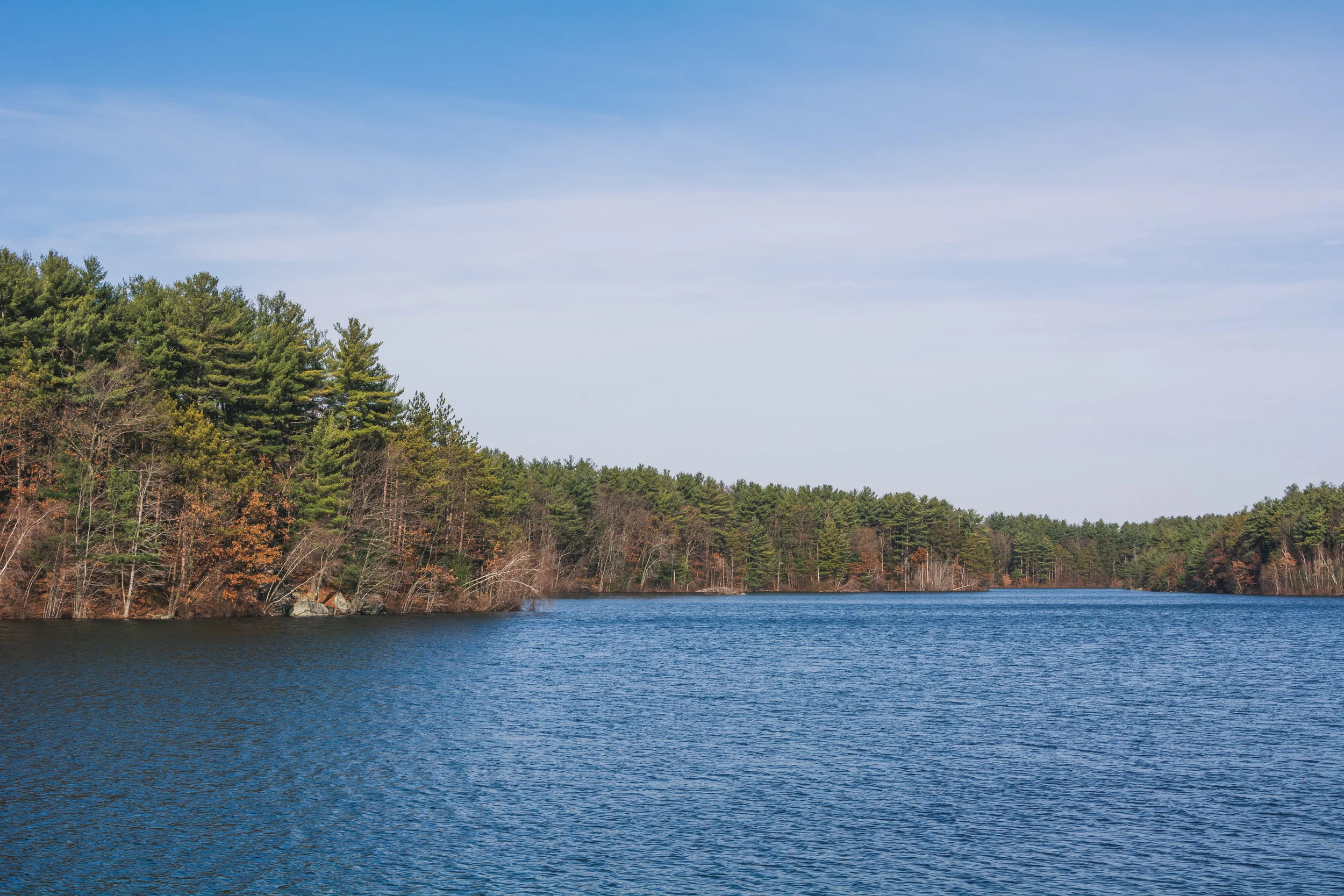 DSC_2321.jpg