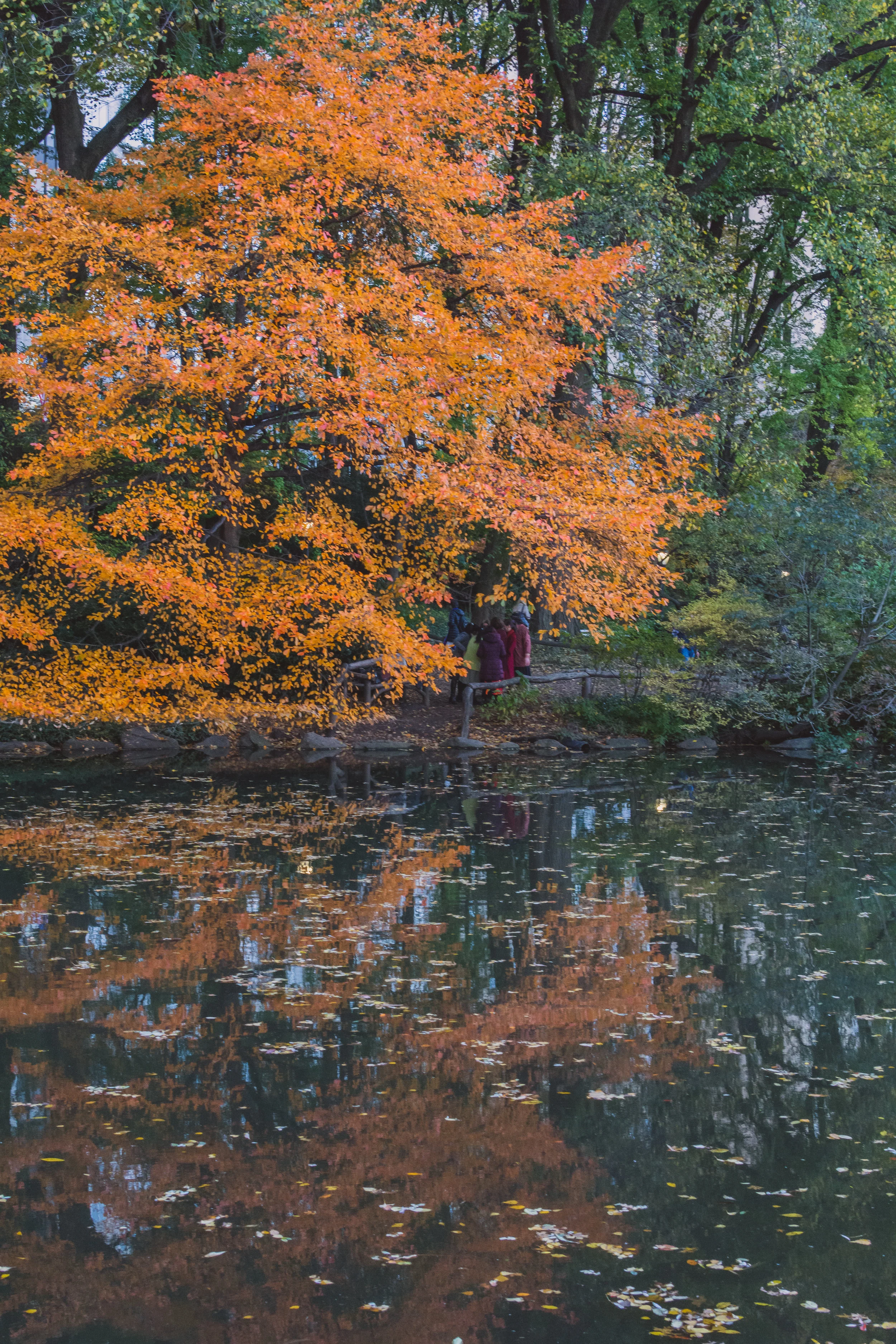 DSC_2179.jpg