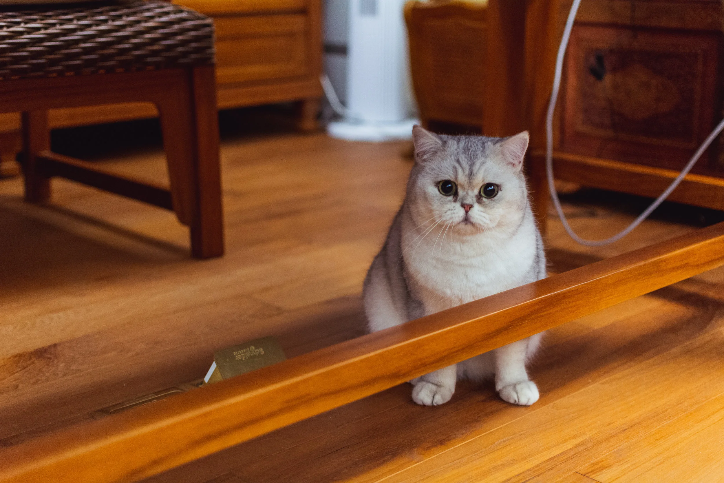 DSC_2444.jpg