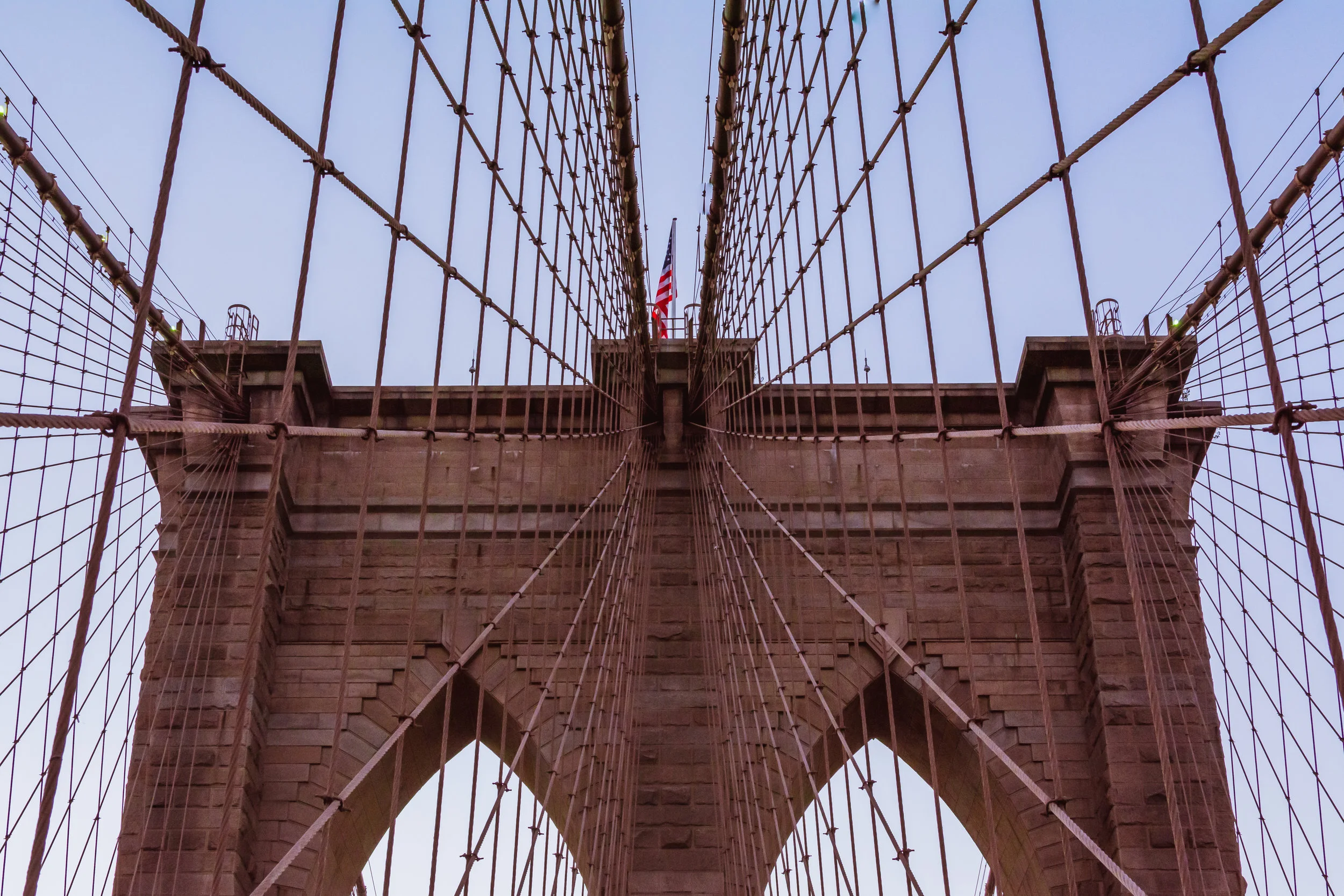 DSC_2015_v2.jpg