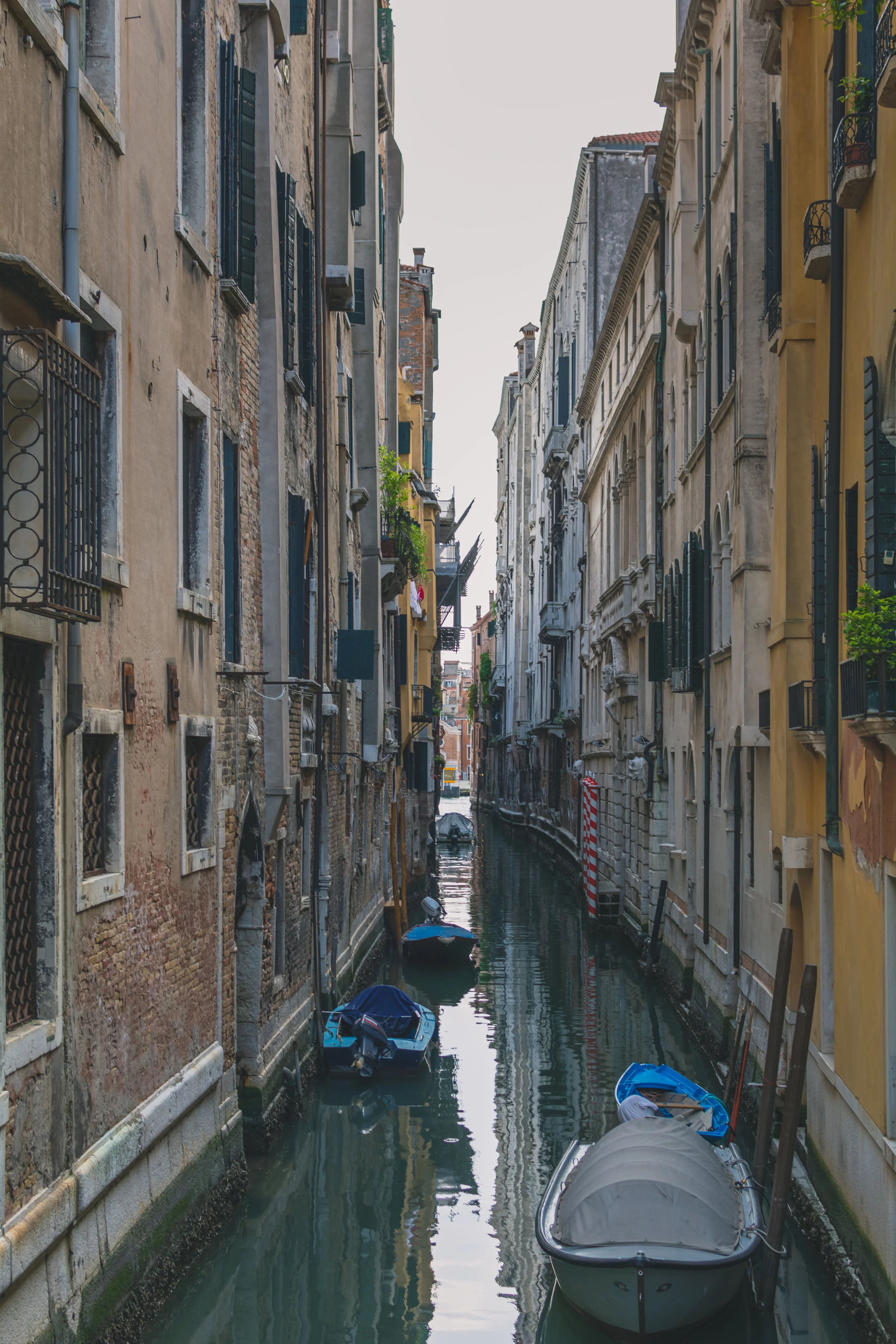 DSC_1750_v2.jpg