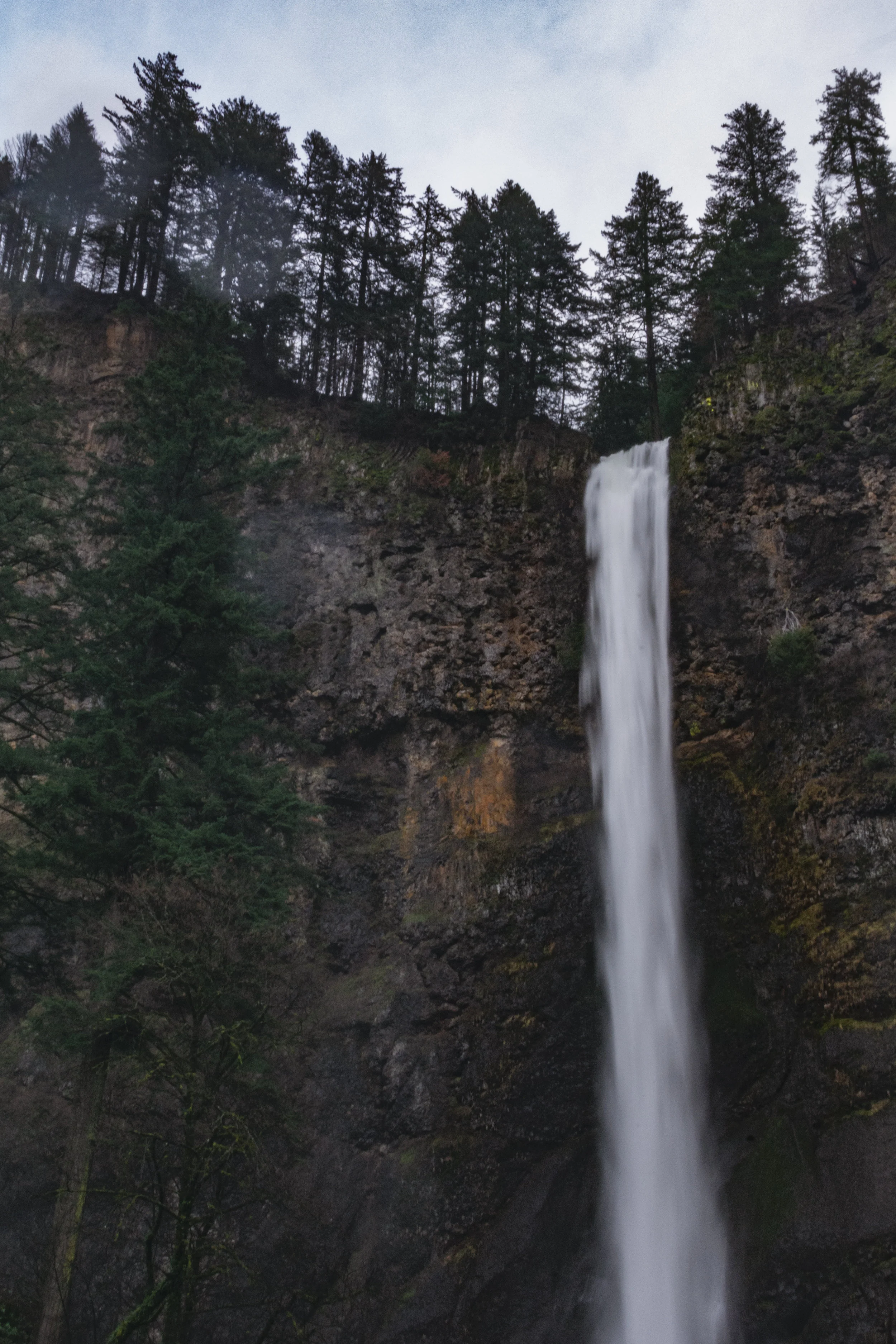 DSC_2983-Edit.jpg