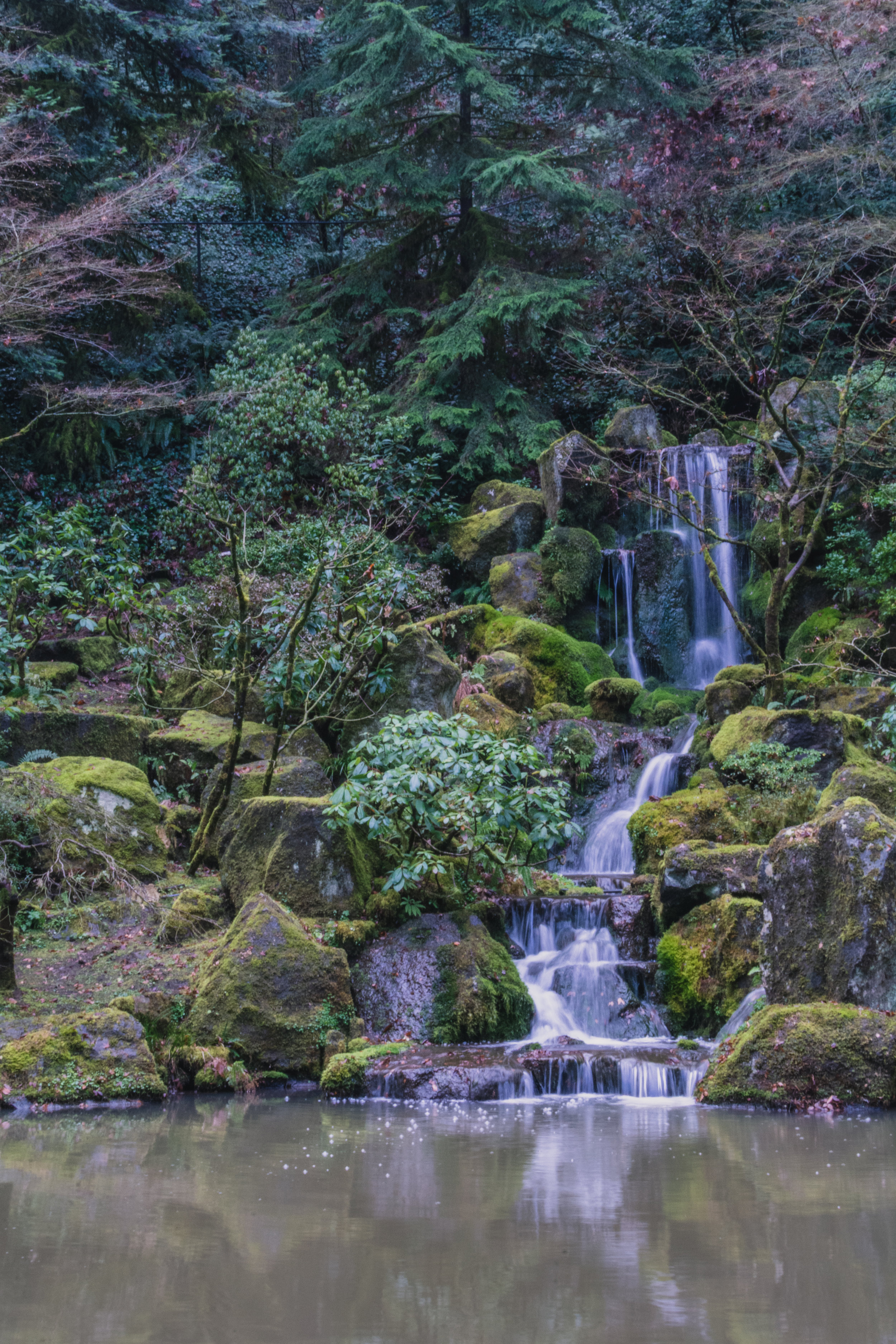 DSC_3016.jpg