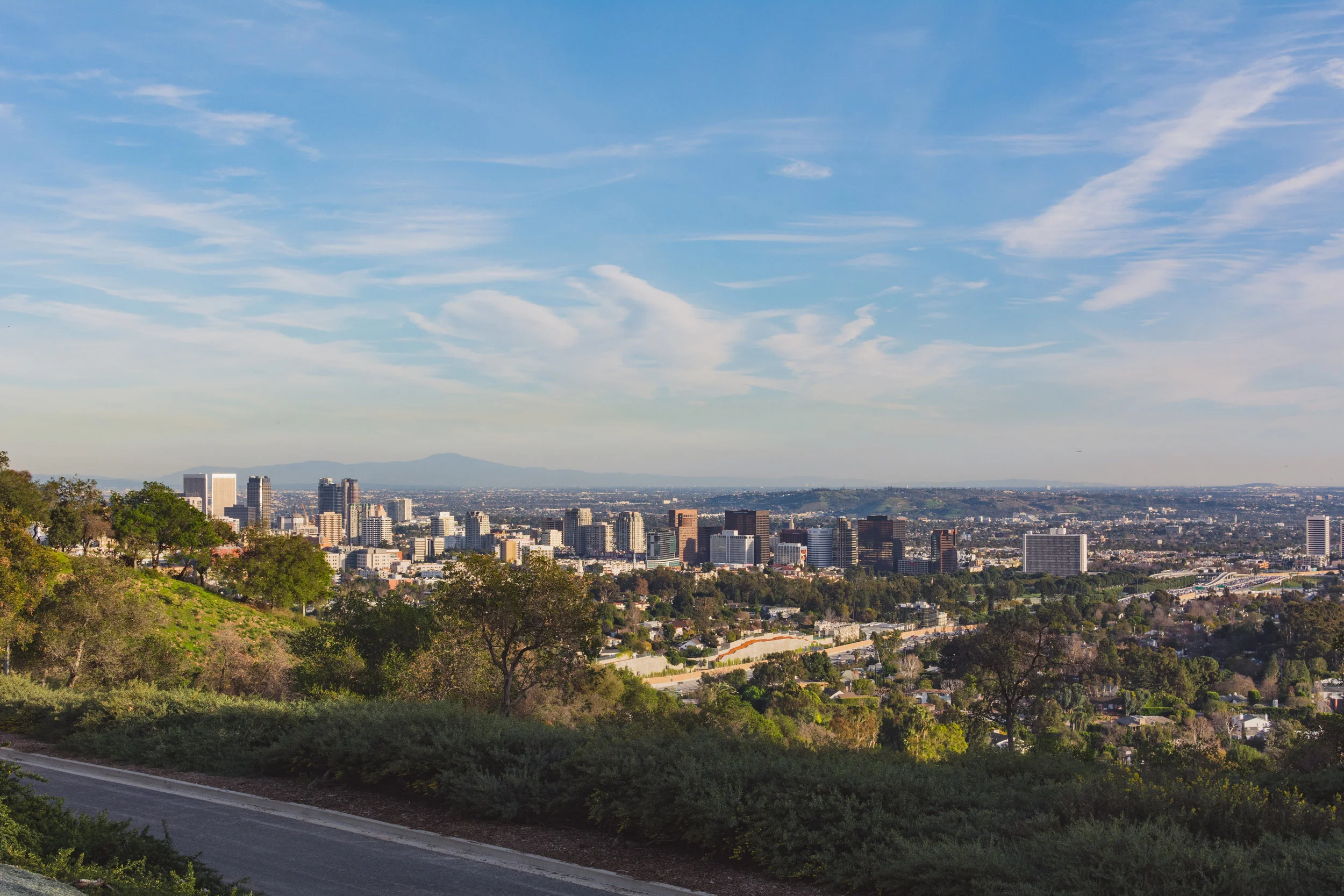 DSC_3102.jpg