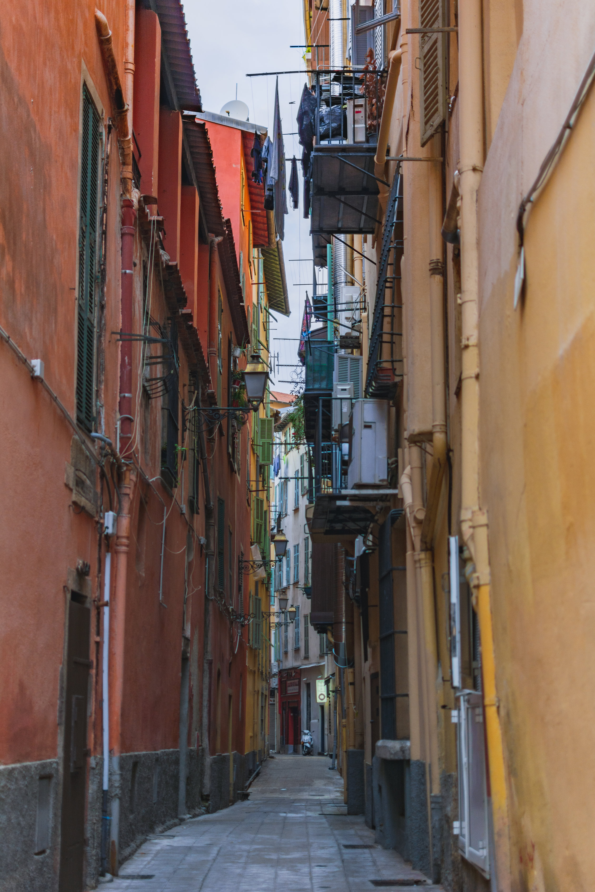 DSC_1427_v2.jpg