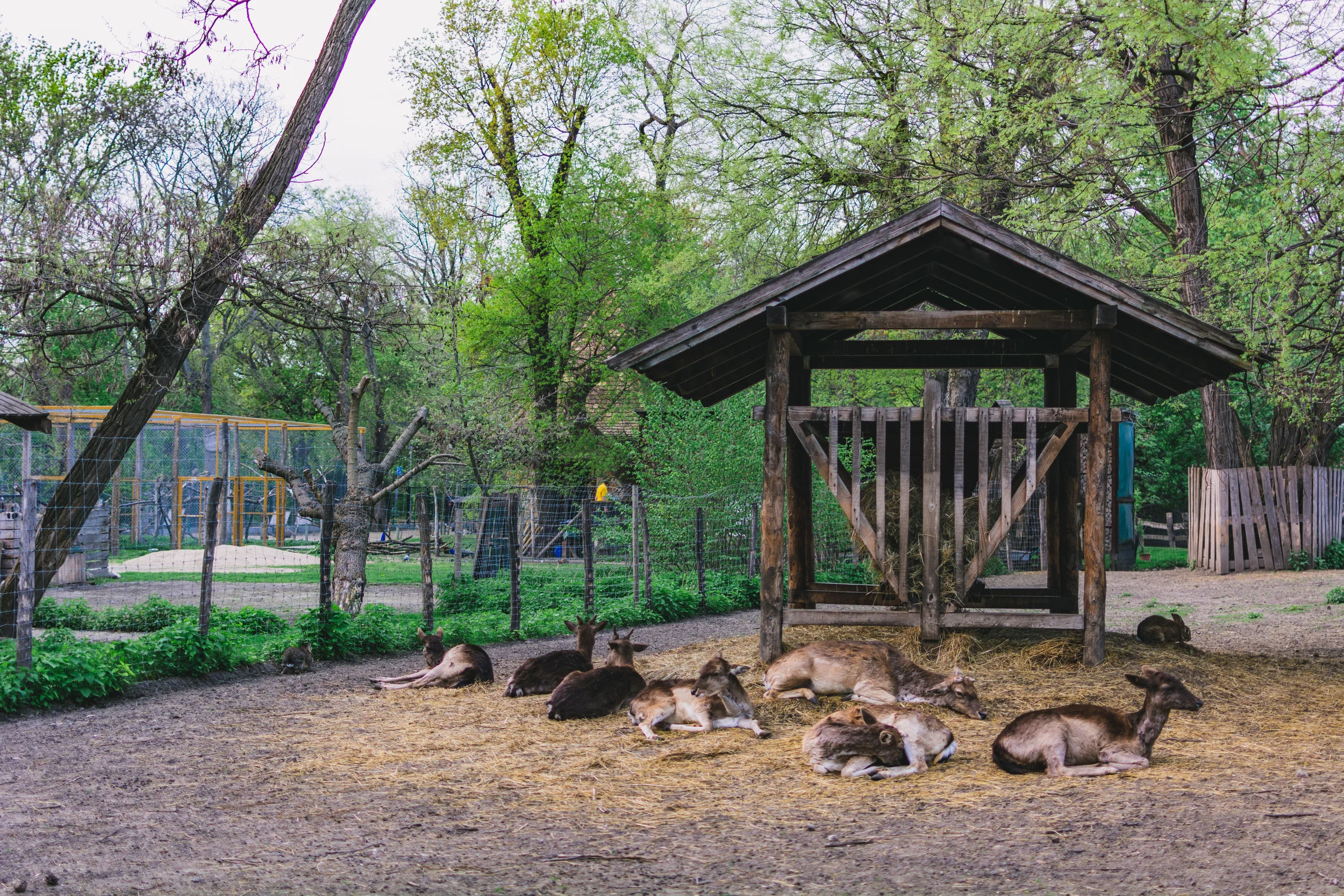 DSC_1197.jpg