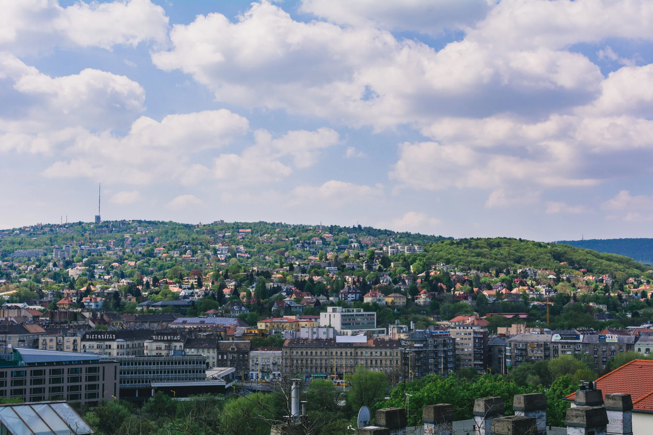 DSC_1205_v2.jpg