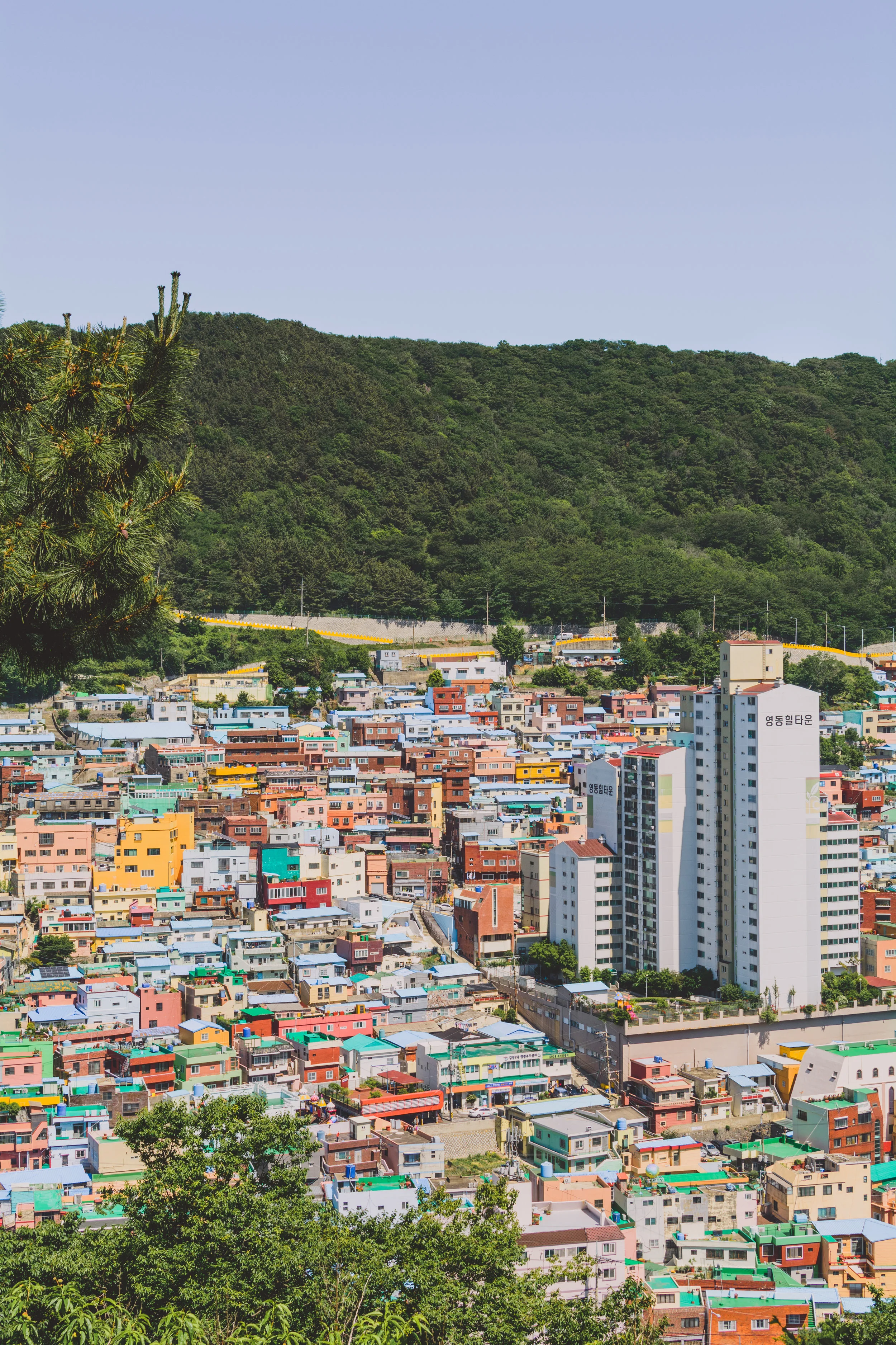 DSC_3679.jpg