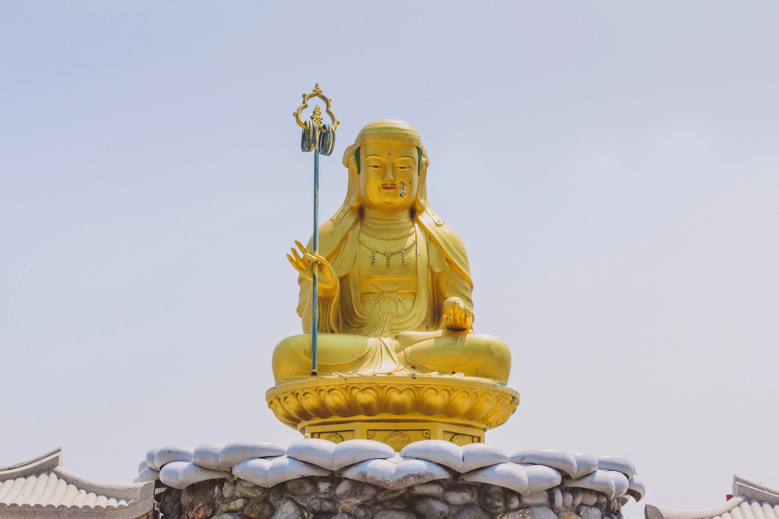 DSC_3695.jpg
