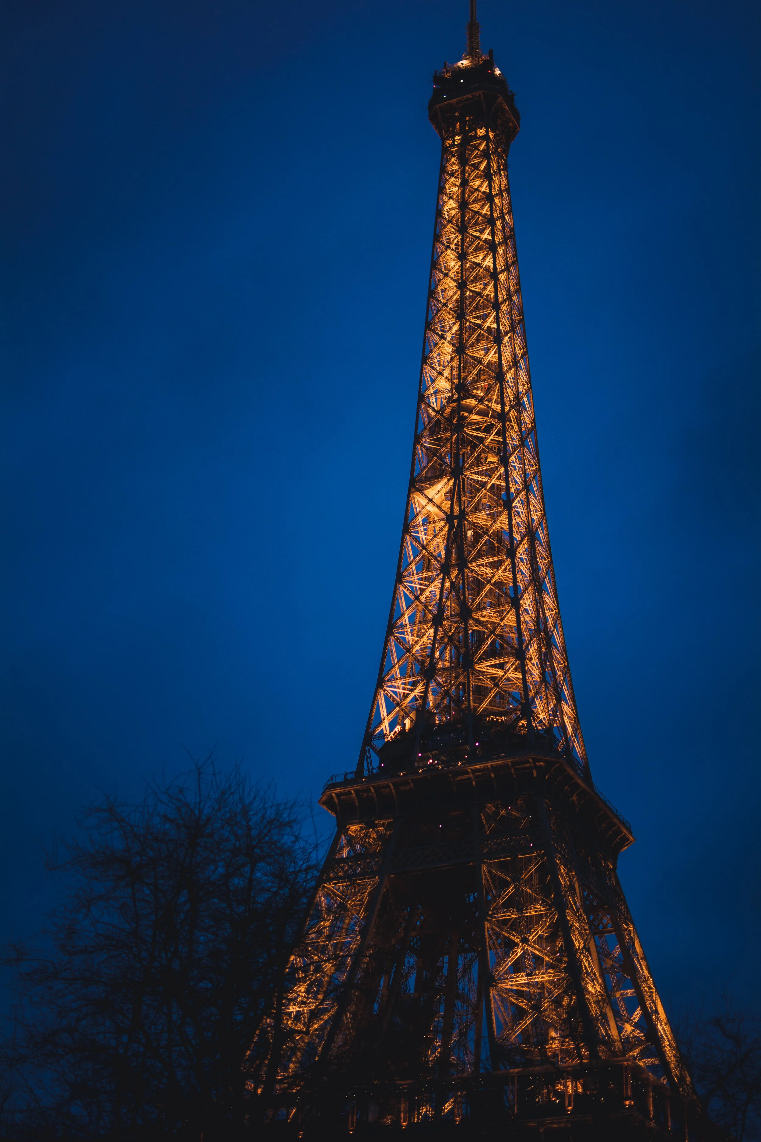 DSC_0751_v2.jpg