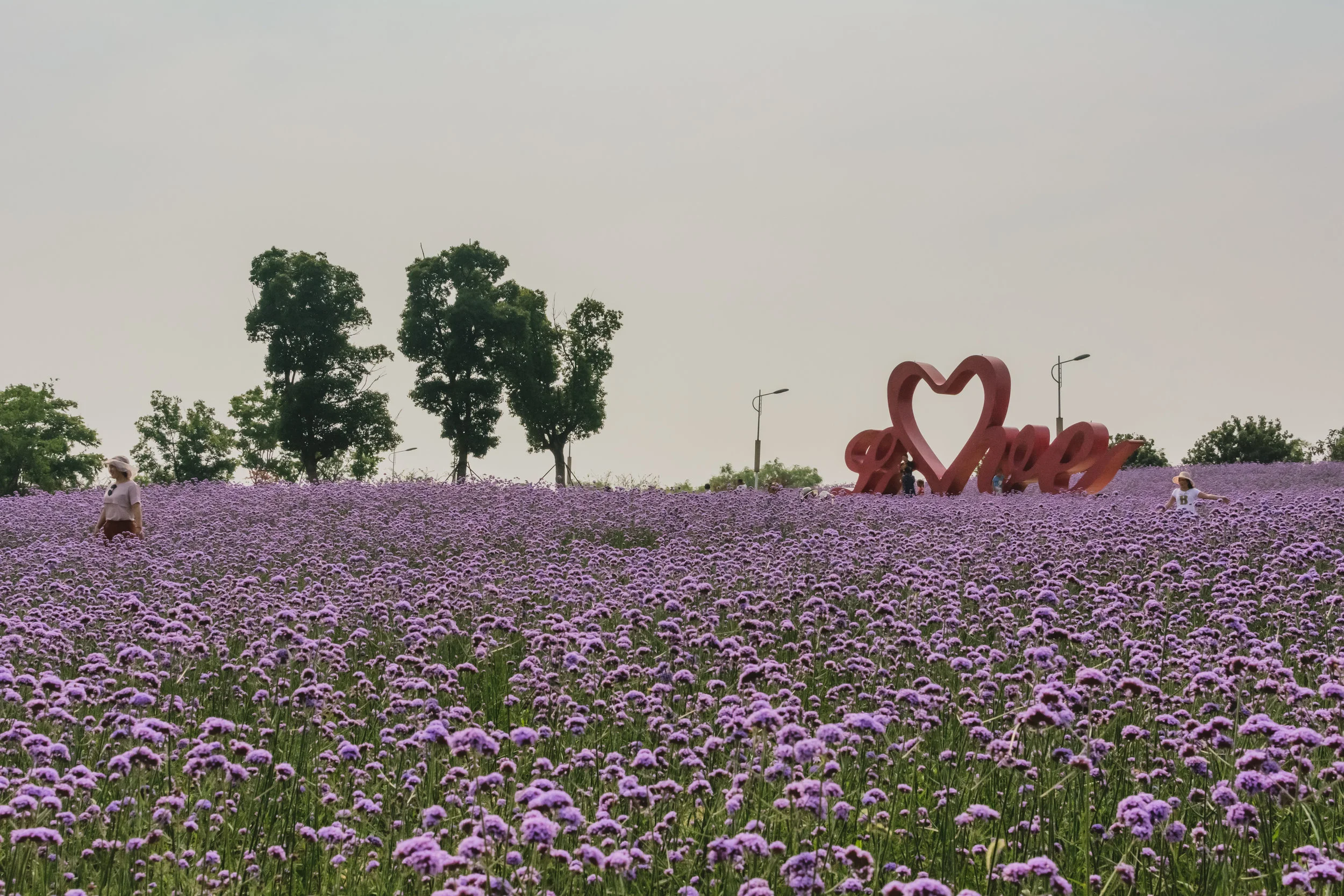 DSC_3881.jpg