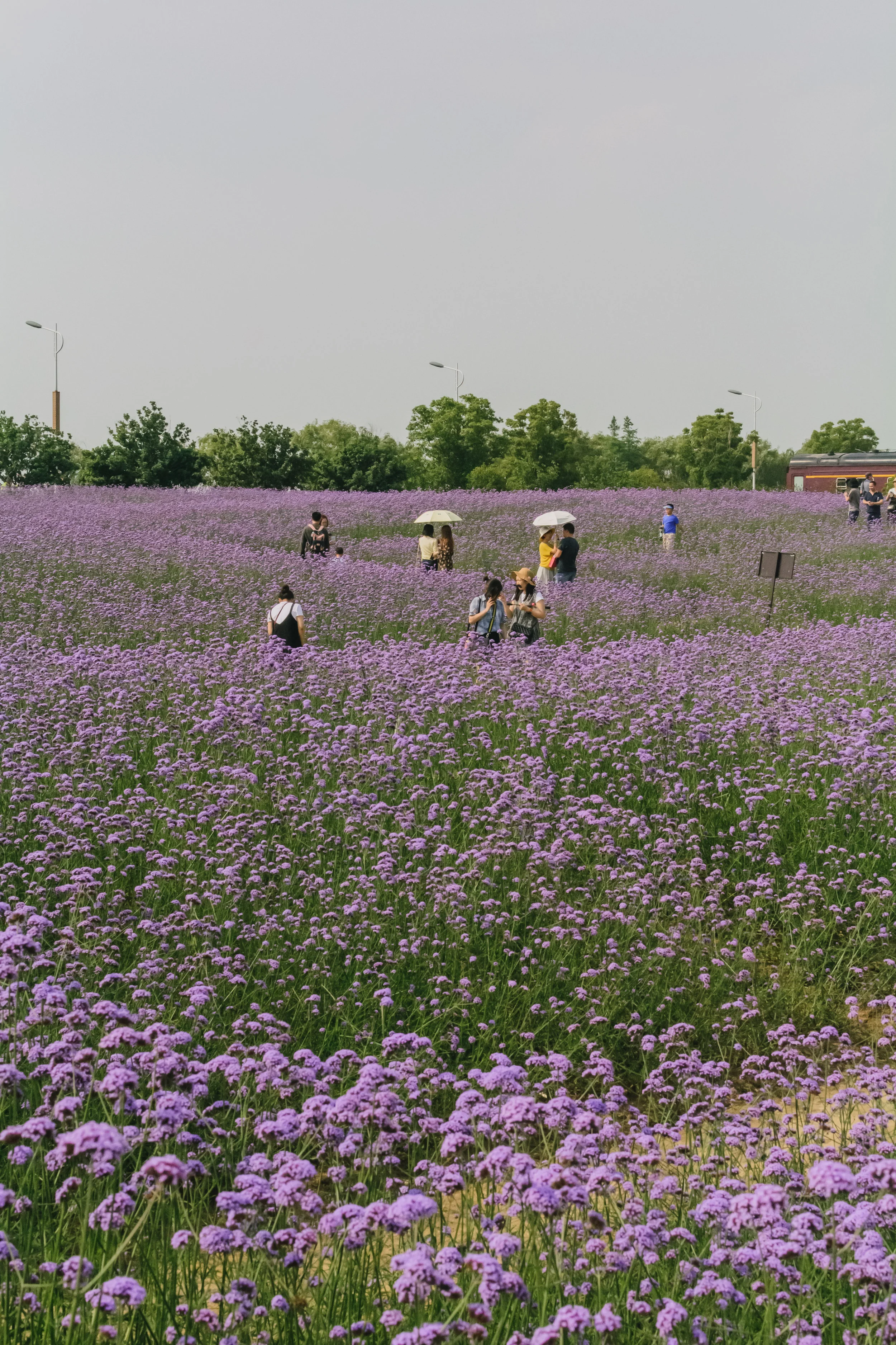 DSC_3884.jpg