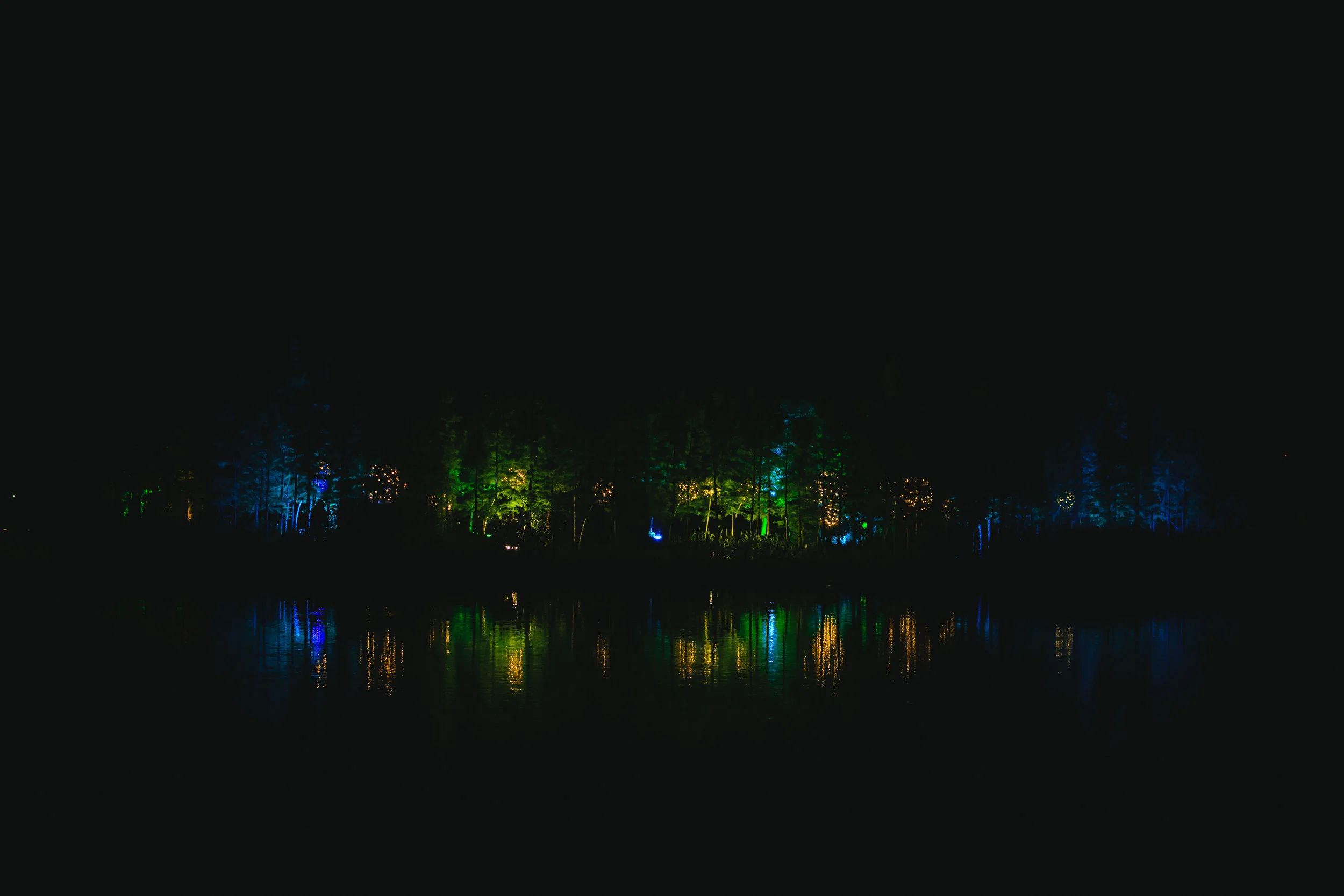 DSC_3880.jpg