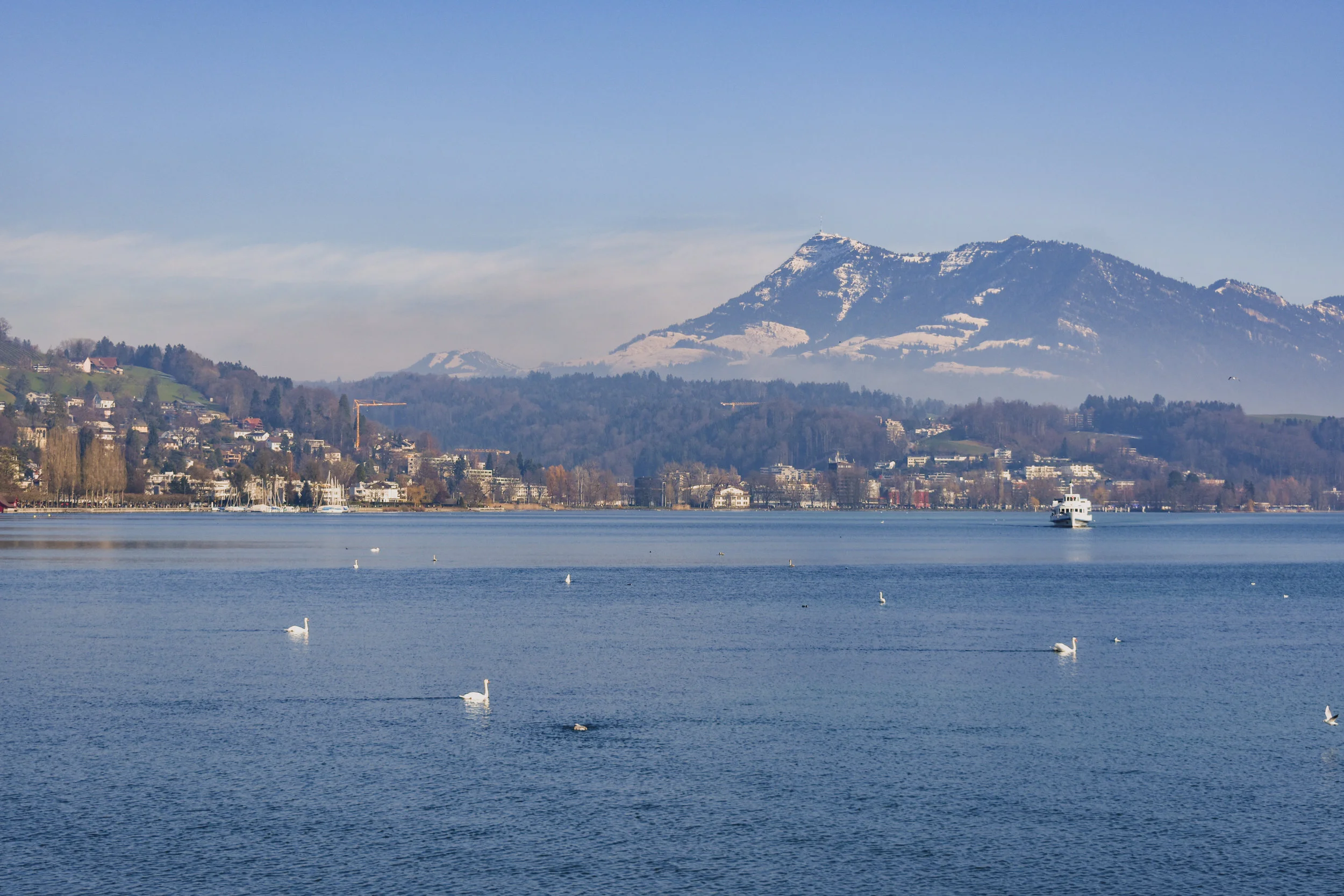 DSC_0899_v2.jpg