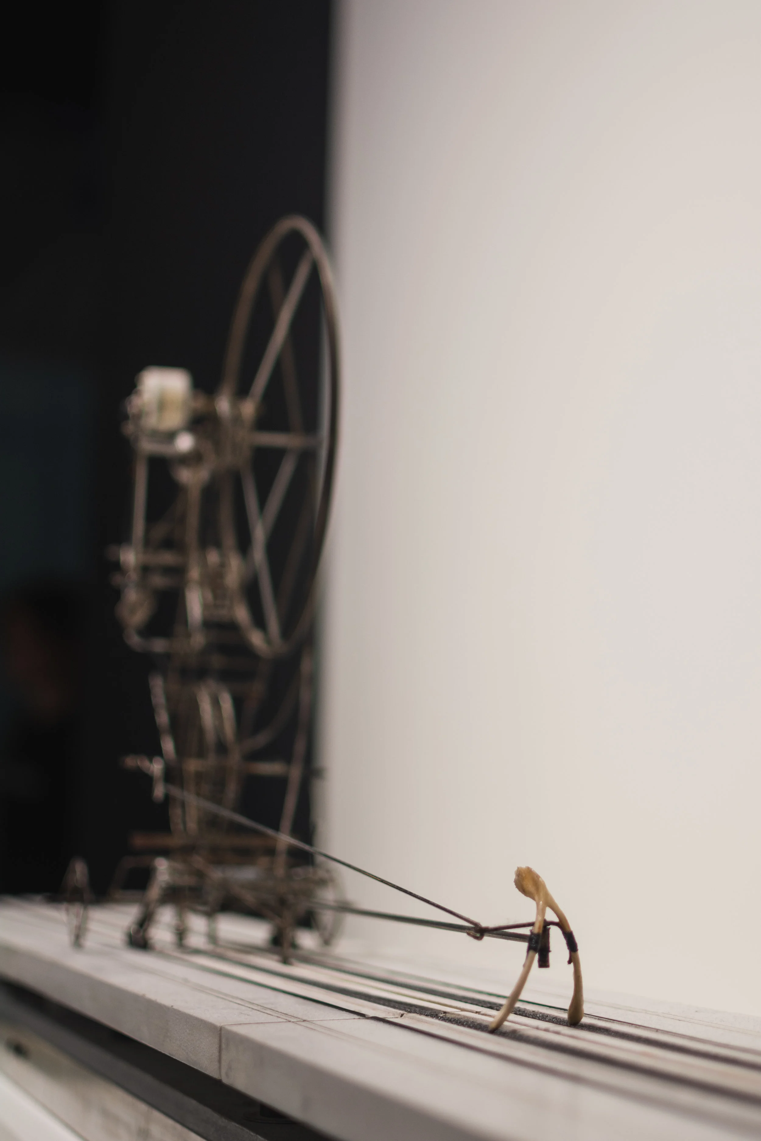 DSC_3979.jpg