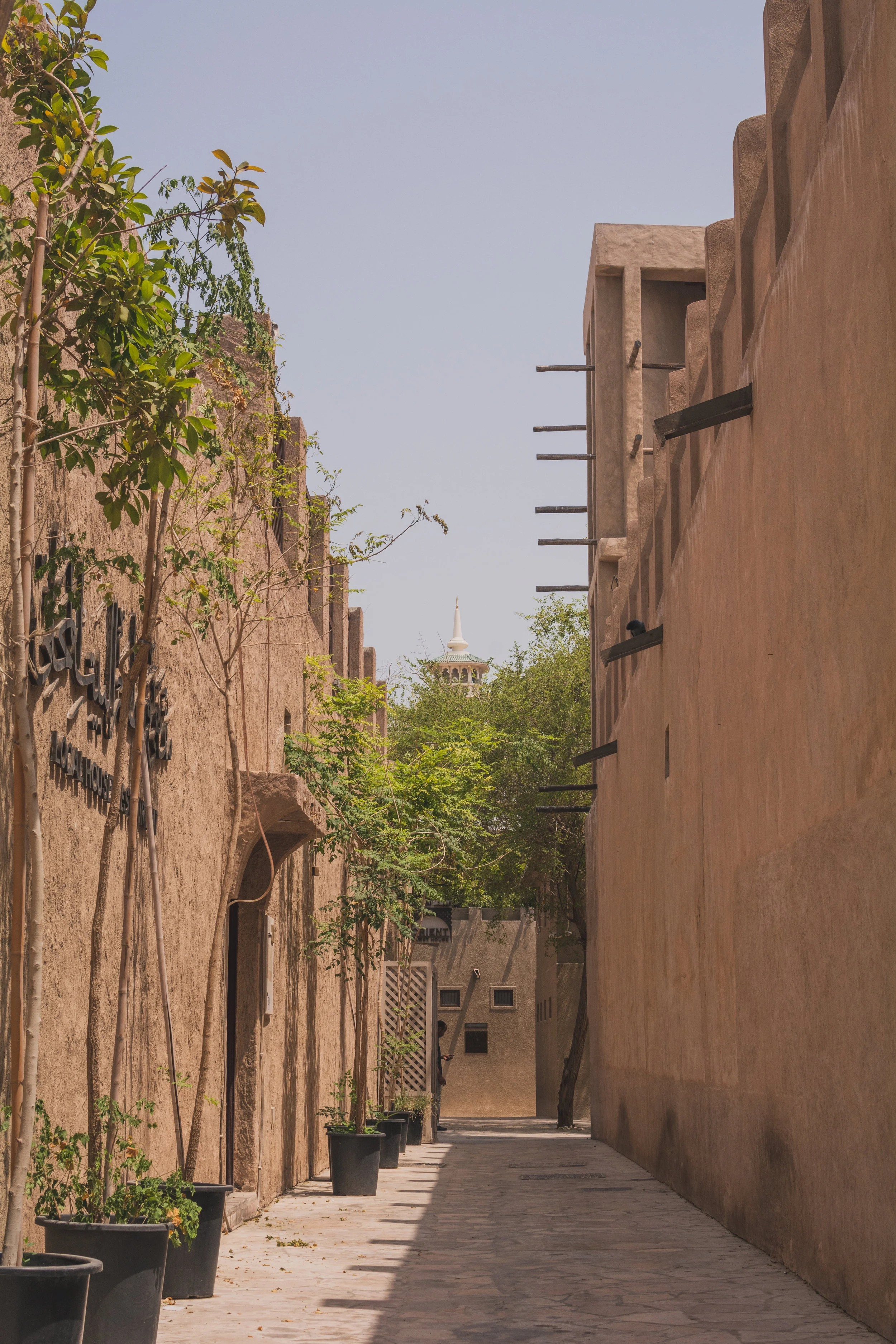 DSC_3991.jpg