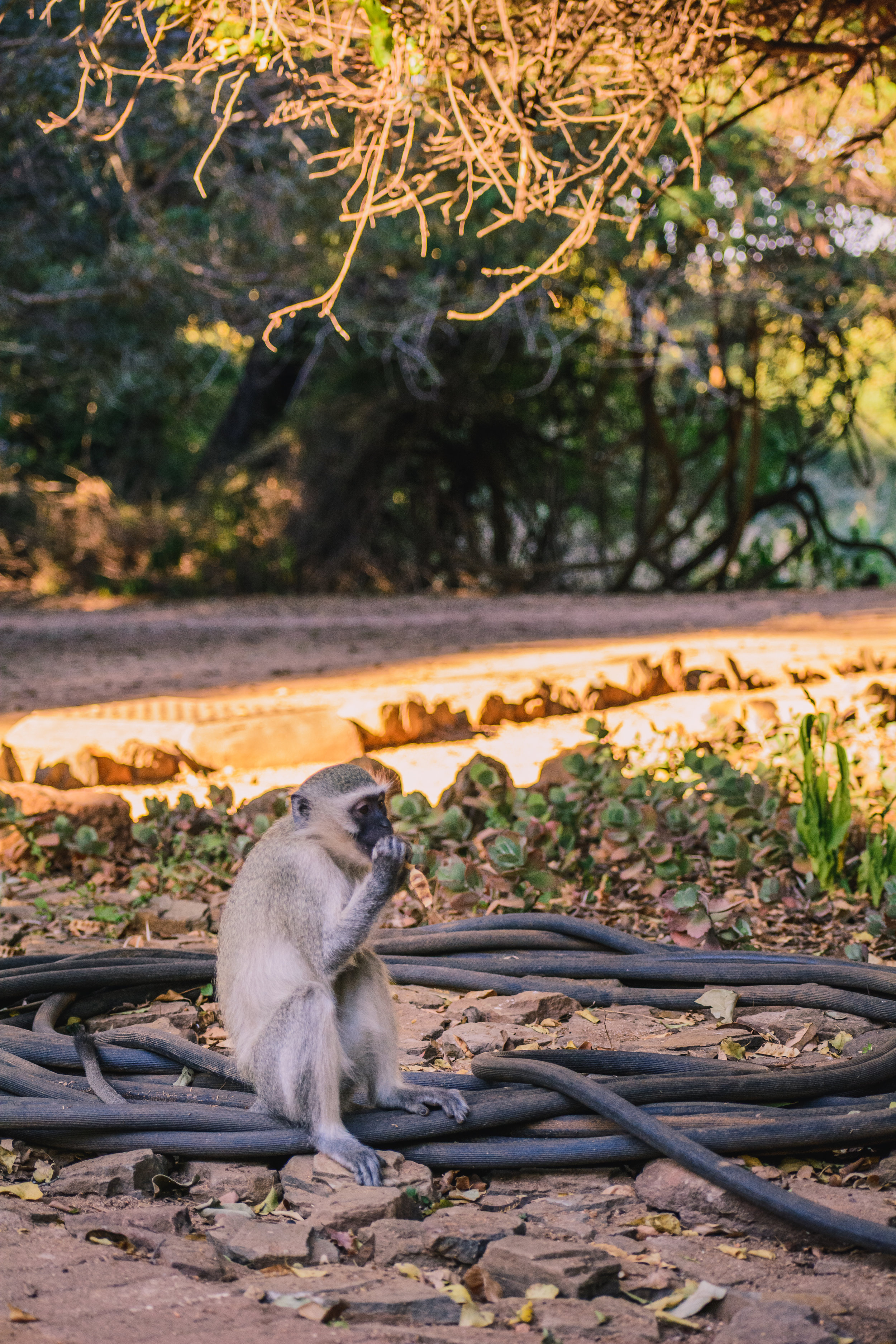 DSC_4051.jpg