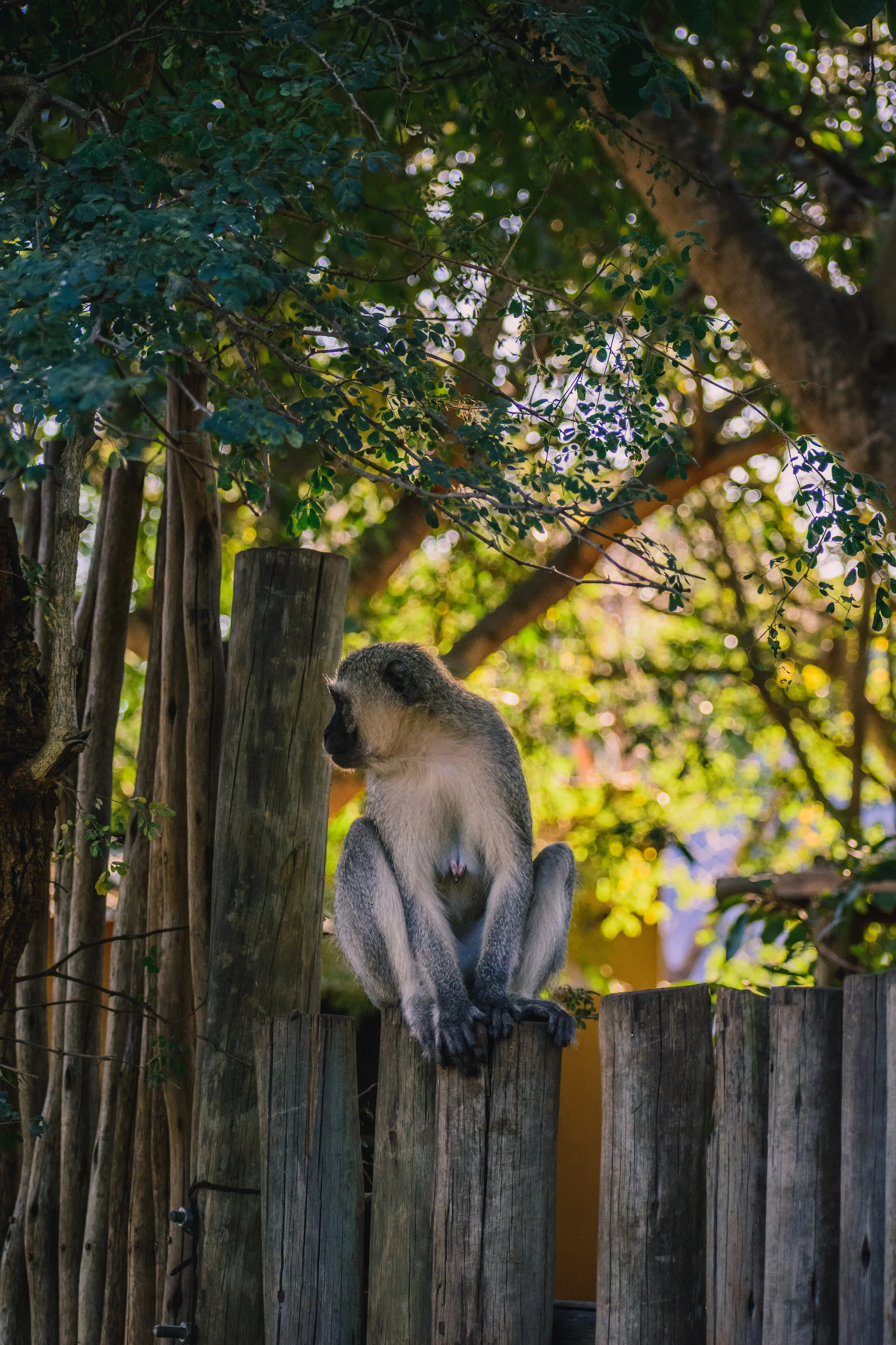 DSC_4053.jpg