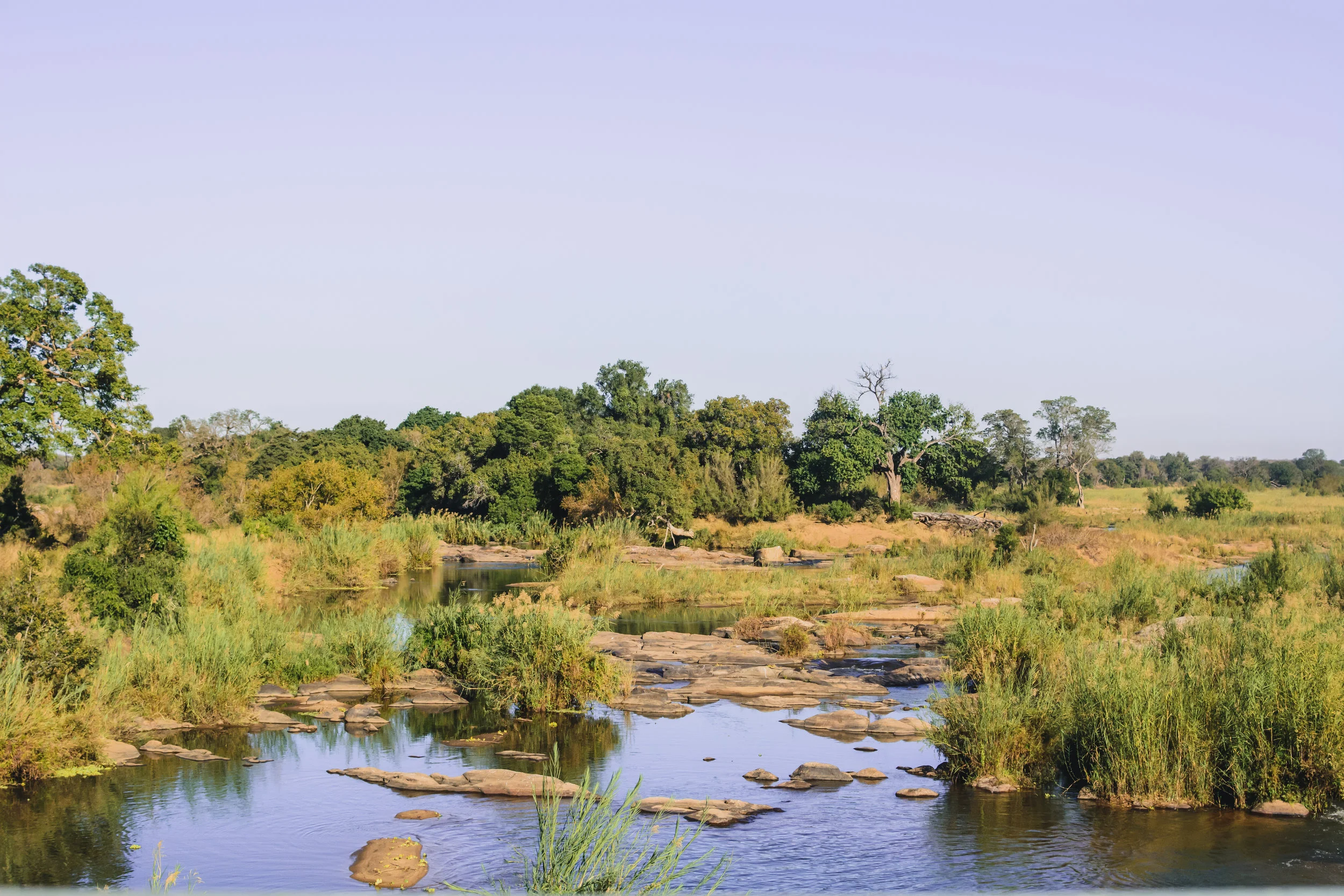 DSC_4172.jpg