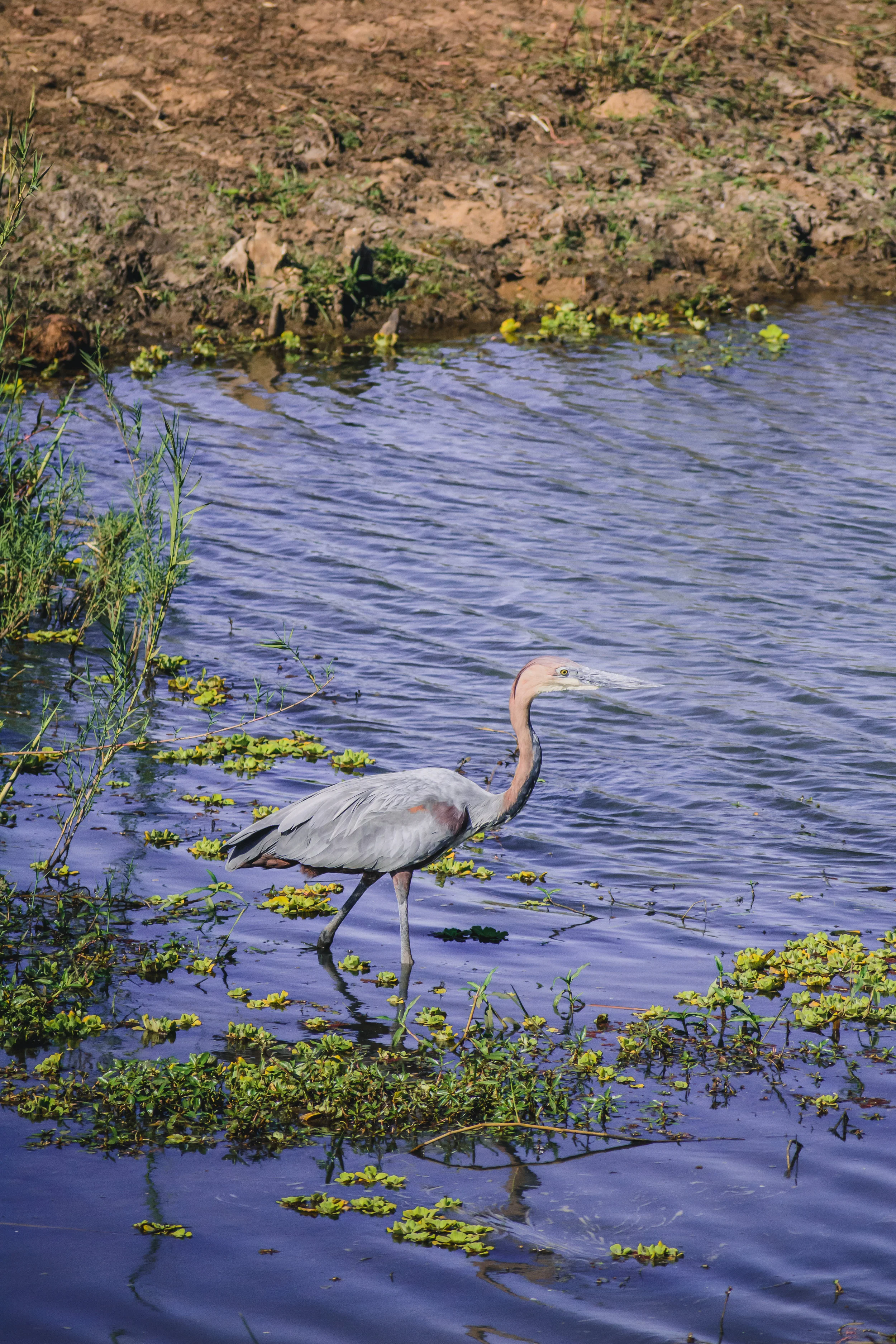DSC_4214.jpg