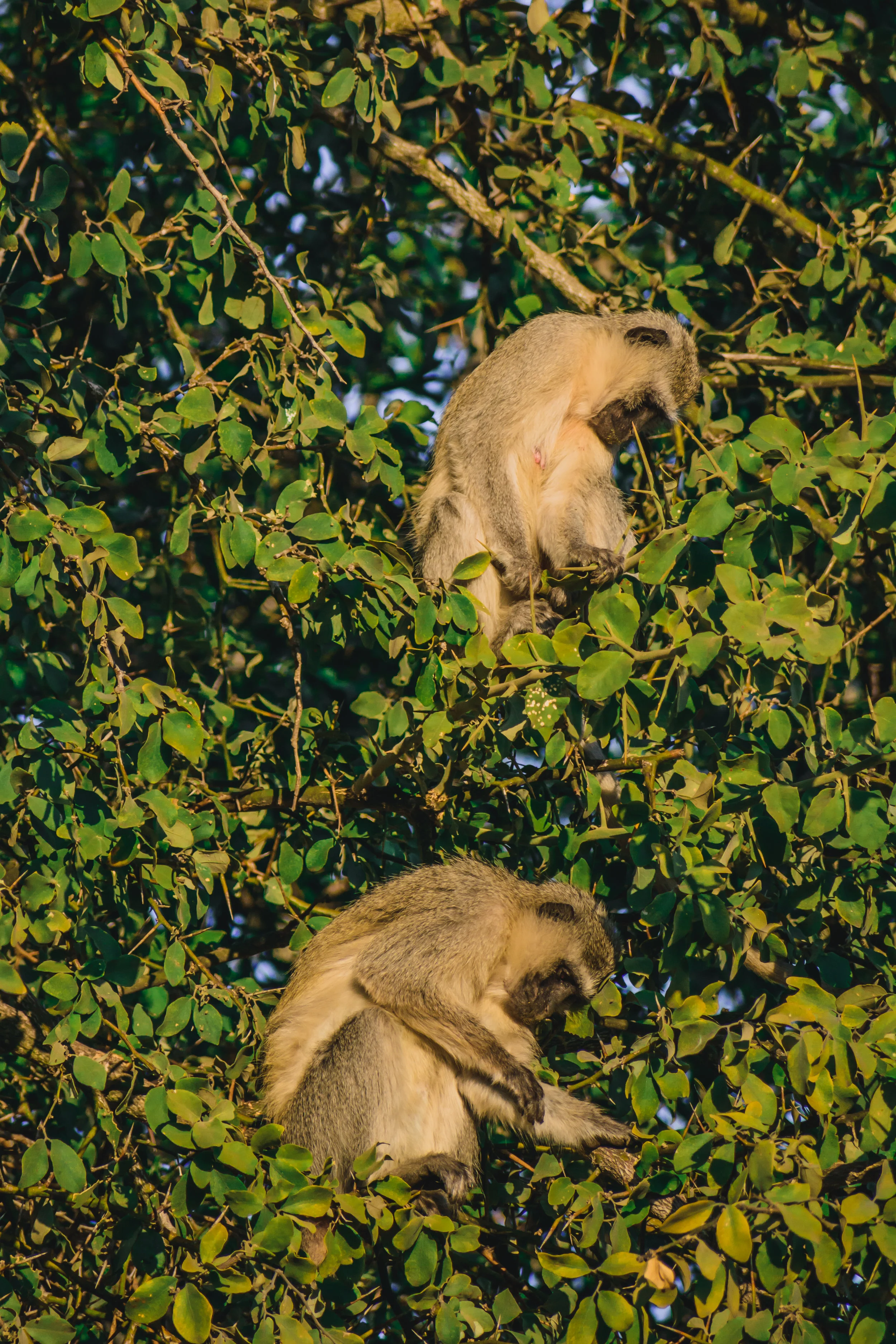 DSC_4305.jpg
