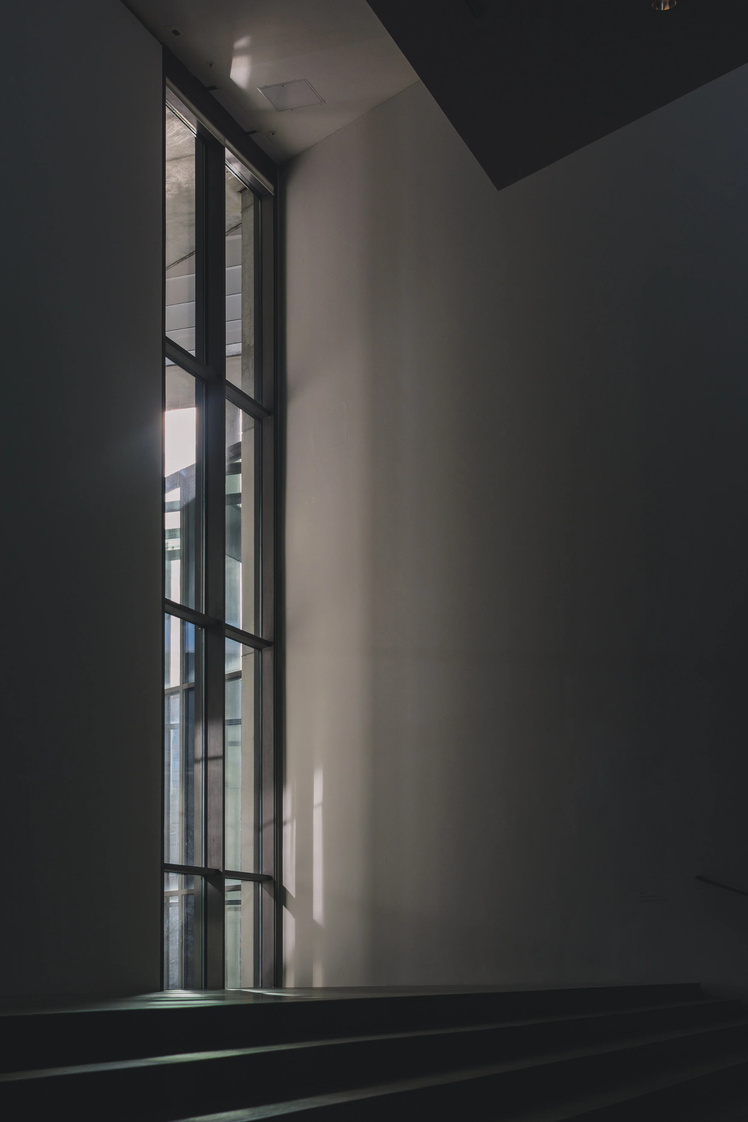 DSC_4456.jpg
