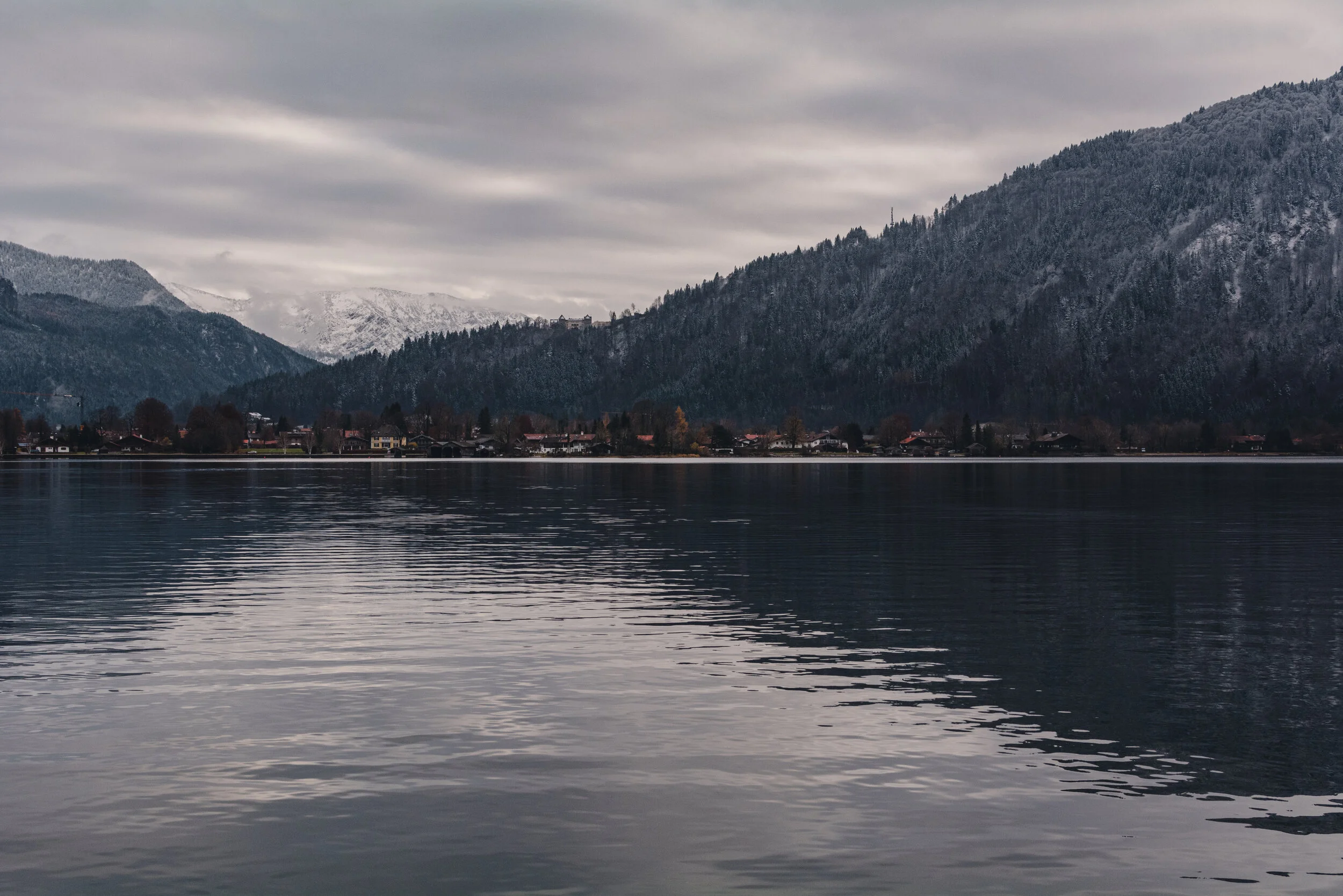 DSC_4496.jpg