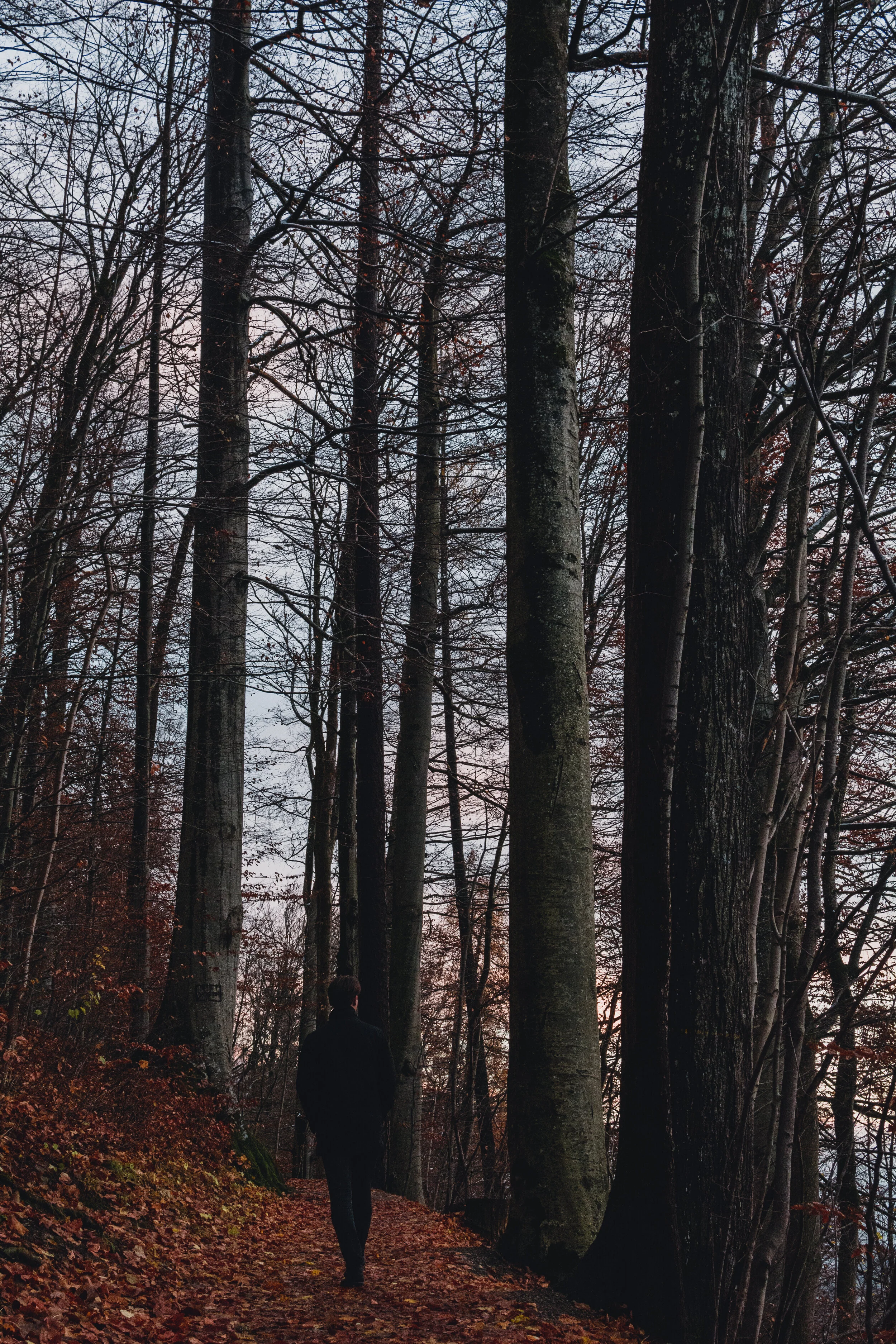 DSC_4526.jpg