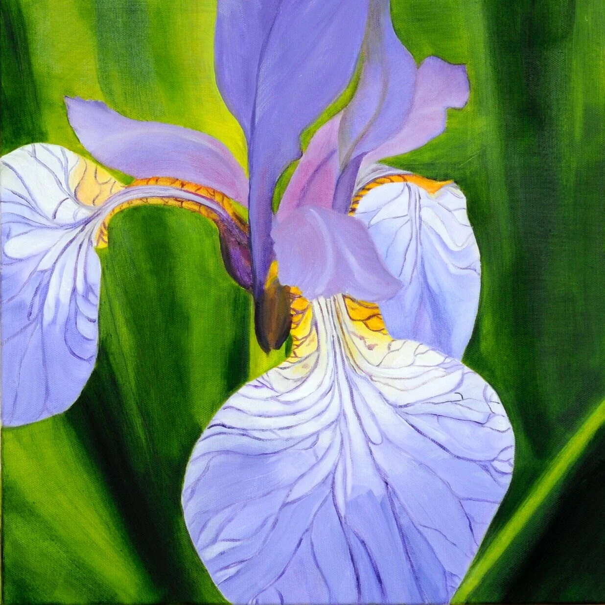 30+IRIS++40+cm+x+80+cm+.jpg