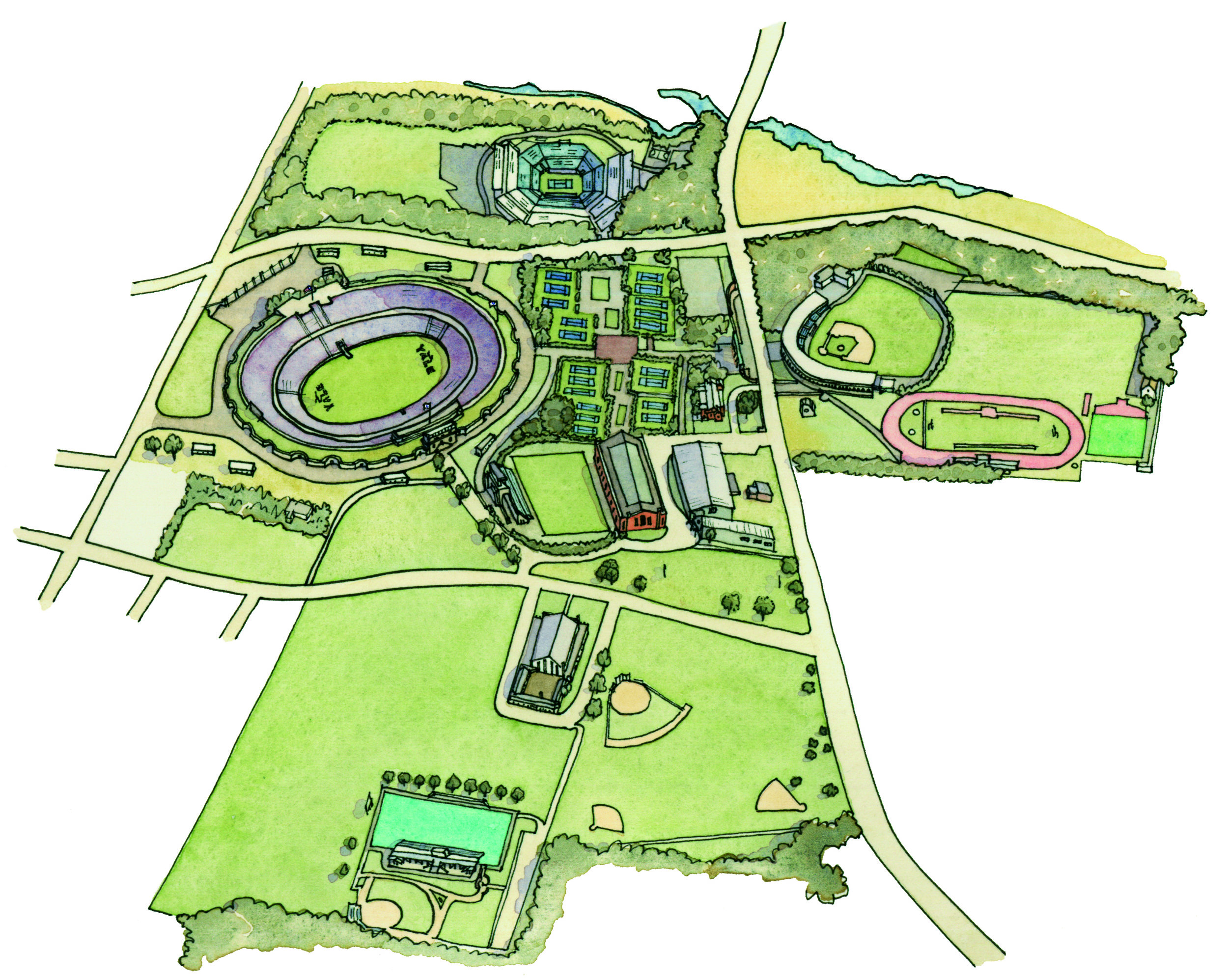 Yale University Yale Bowl and Sports Fields - Aerial Illustration