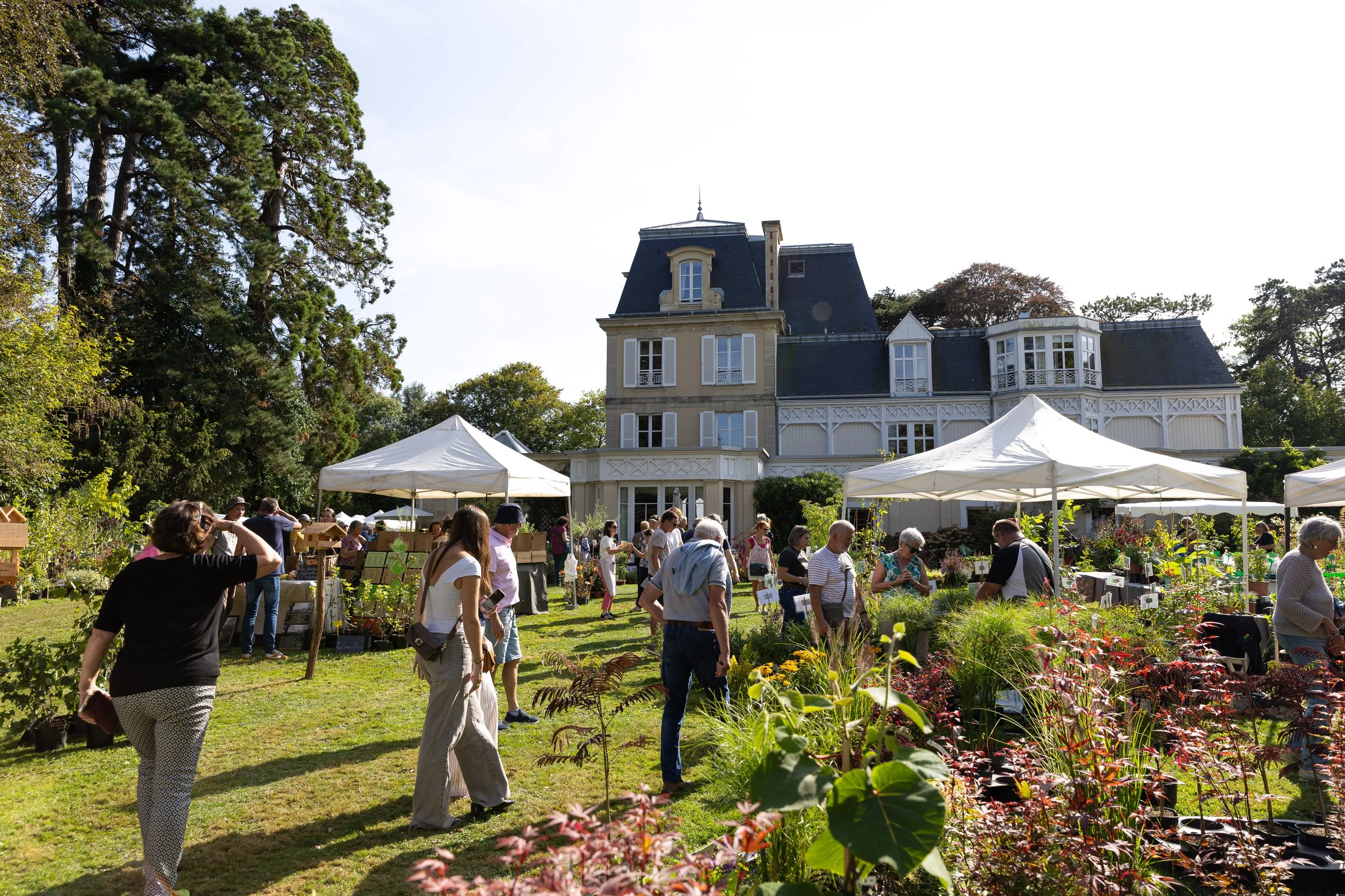 Fête des plantes Septembre 2025-018.jpg
