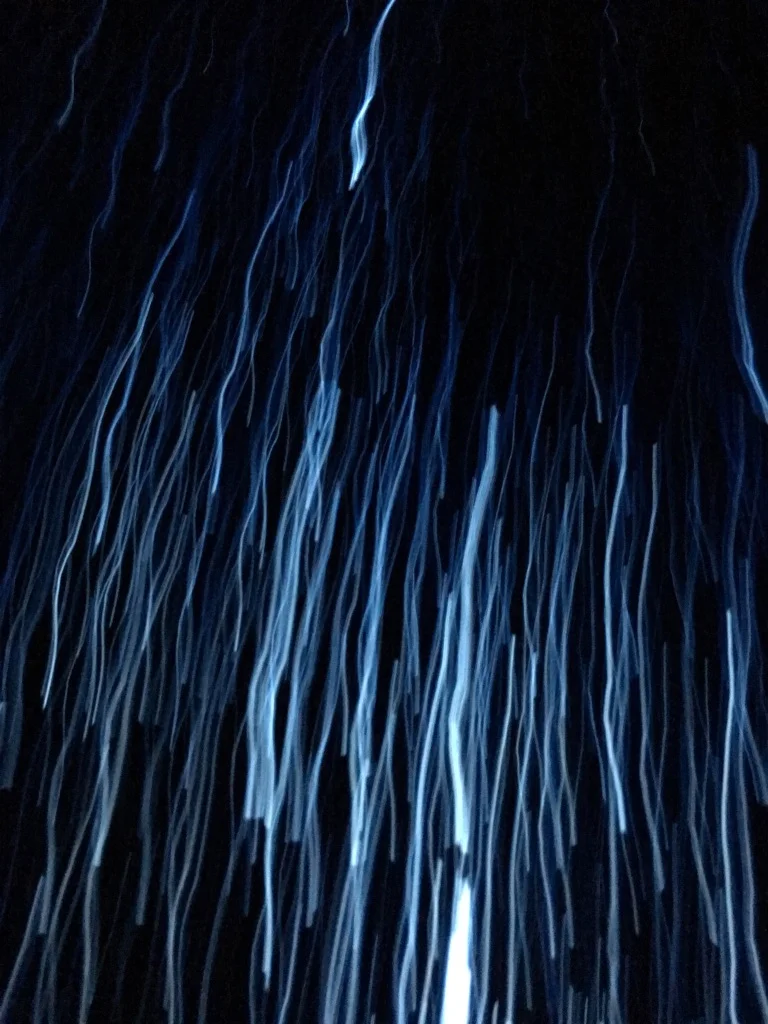 Indigo Sutra,  November 2017, Rabindranath Tagore Cultural Institute, Kolkata