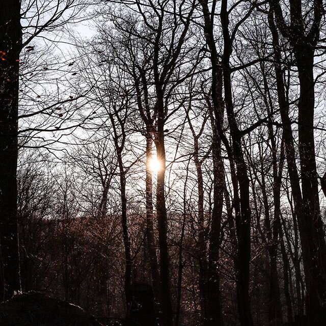 🌲🌞 AJ V&Aacute;M CH&Yacute;BAJ&Uacute; PRECH&Aacute;DZKY V PR&Iacute;RODE? Včera sa n&aacute;m podarilo aspoň trochu vyjsť do lesa. Akur&aacute;t zapadalo slnko a nedalo mi neurobiť aspoń jednu fotku. Ak sa d&aacute; &iacute;sť von na tich&eacute; 