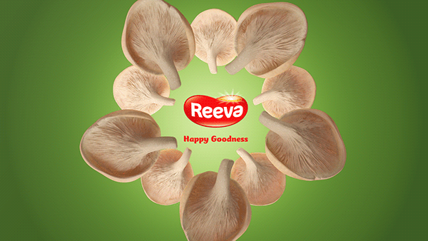 Reeva with real mushroom, 3D Video Animation, Red Cat Motion