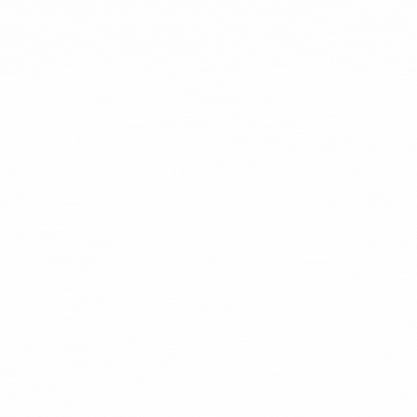 F11.gif