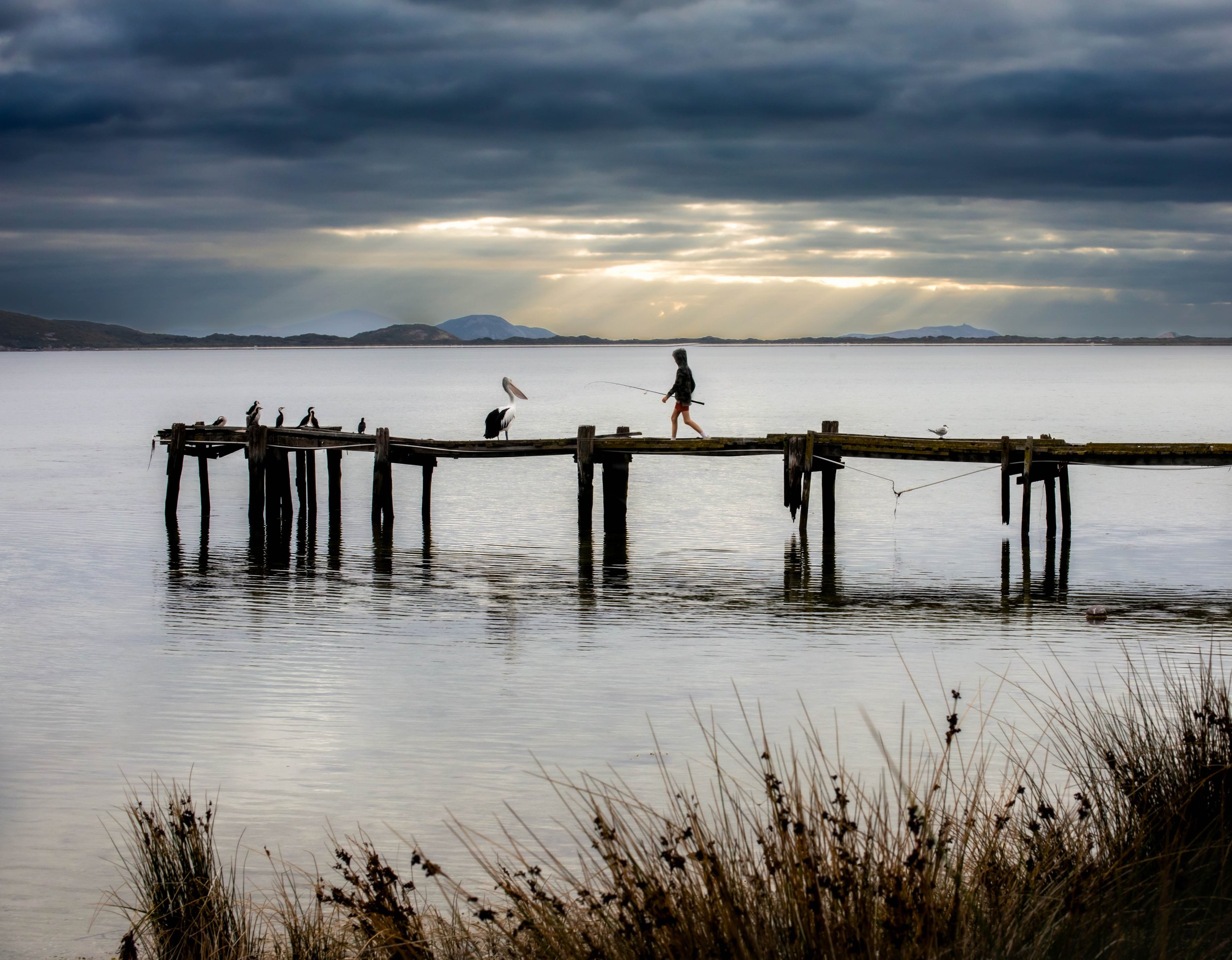 IMG_0776-Edit-Edit.jpg