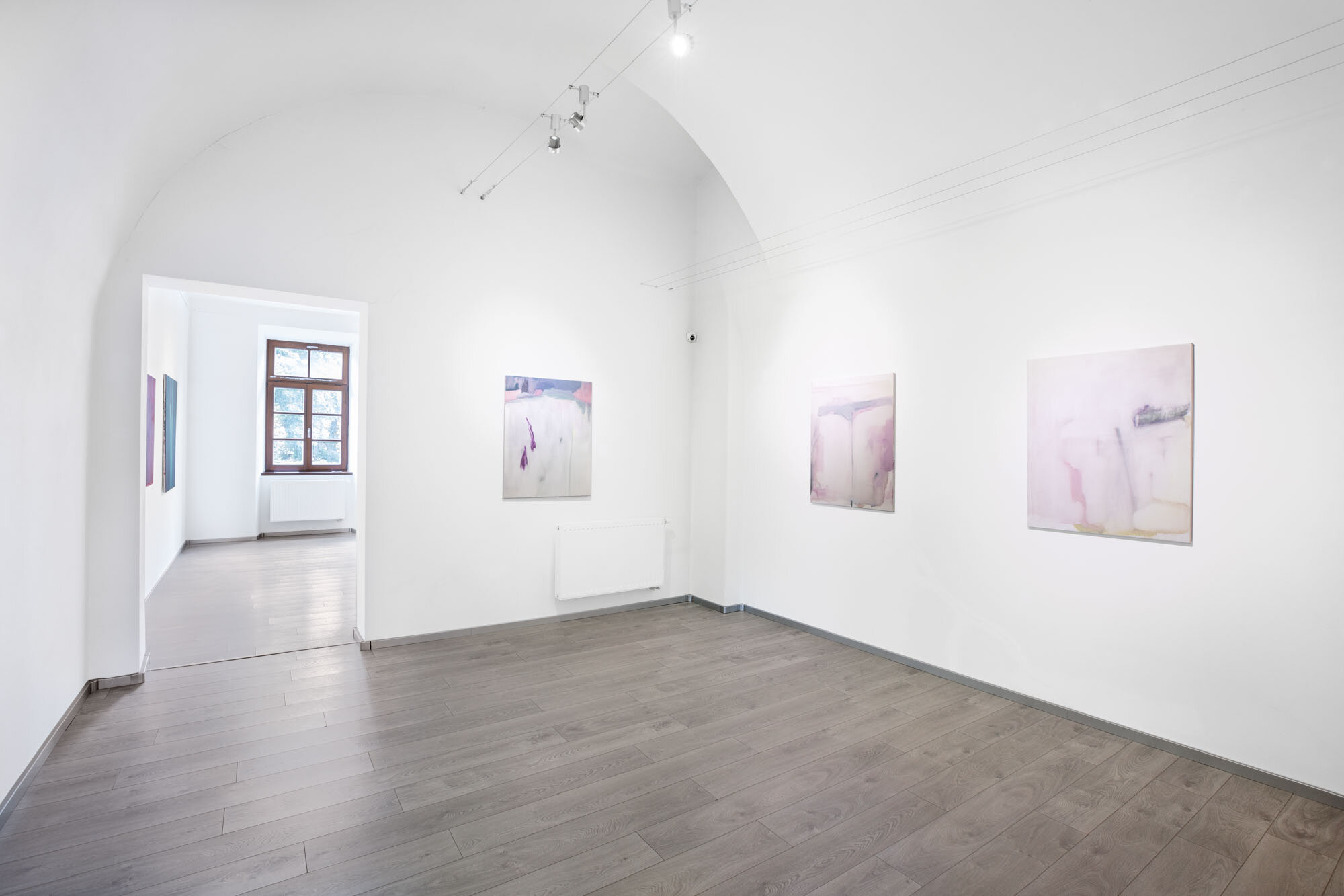 Petra Švecová, Radka Bodzewicz, Alšova jihočeská galerie, 2019