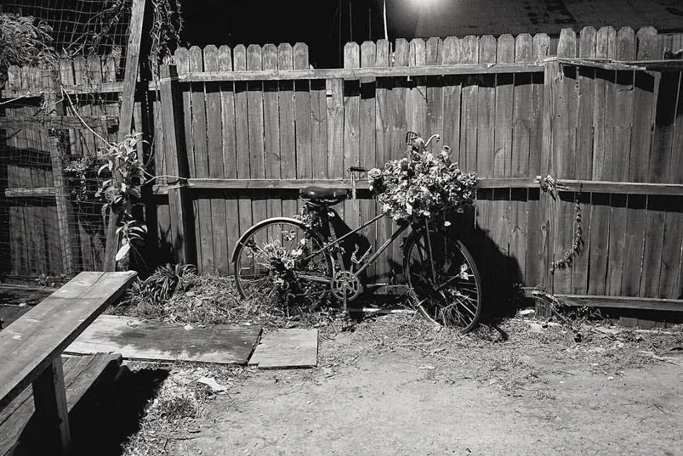 bikes.jpg
