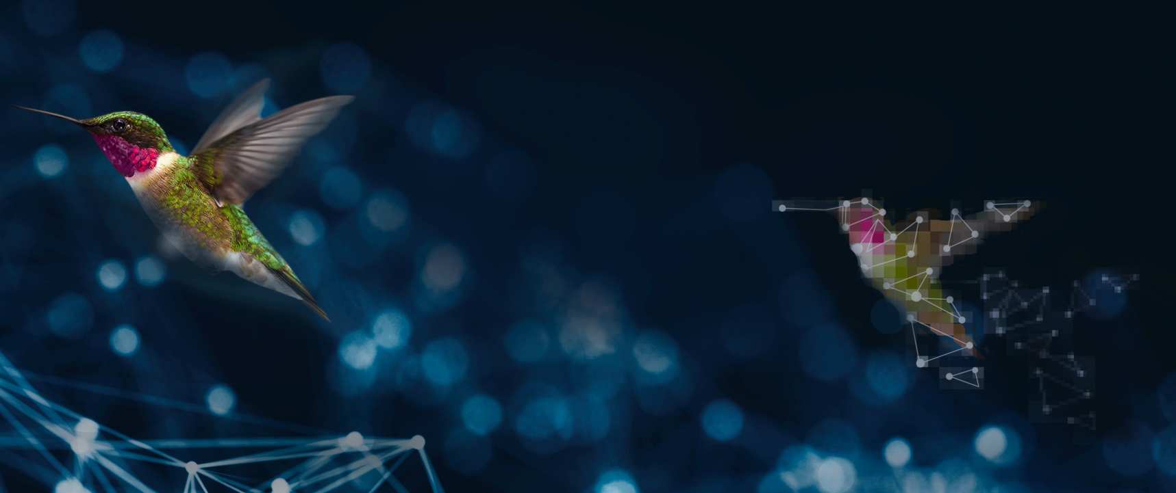 homepage_banner.png