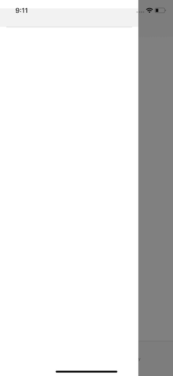 Simulator Screen Shot - iPhone Xʀ - 2019-05-21 at 09.11.39.png