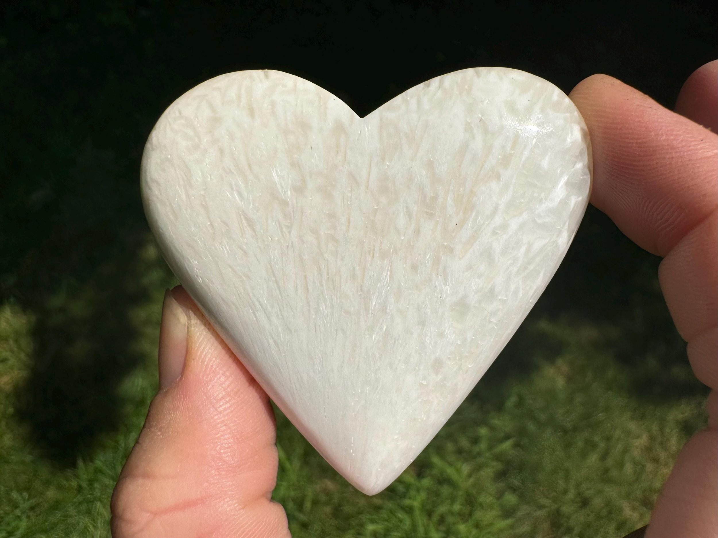 https://i.etsystatic.com/5955665/r/il/0bb0eb/6762612718/il_fullxfull.6762612718_83sf.jpg