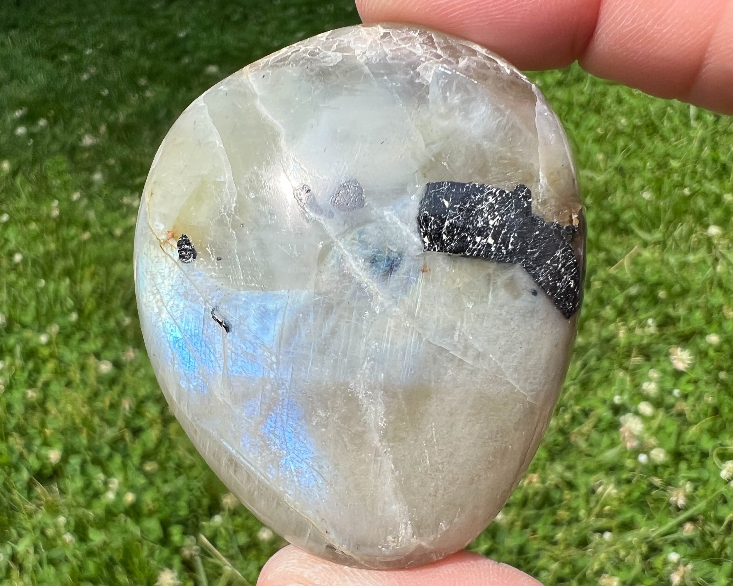 https://i.etsystatic.com/5955665/r/il/6a2fa3/5235422087/il_fullxfull.5235422087_p1o9.jpg