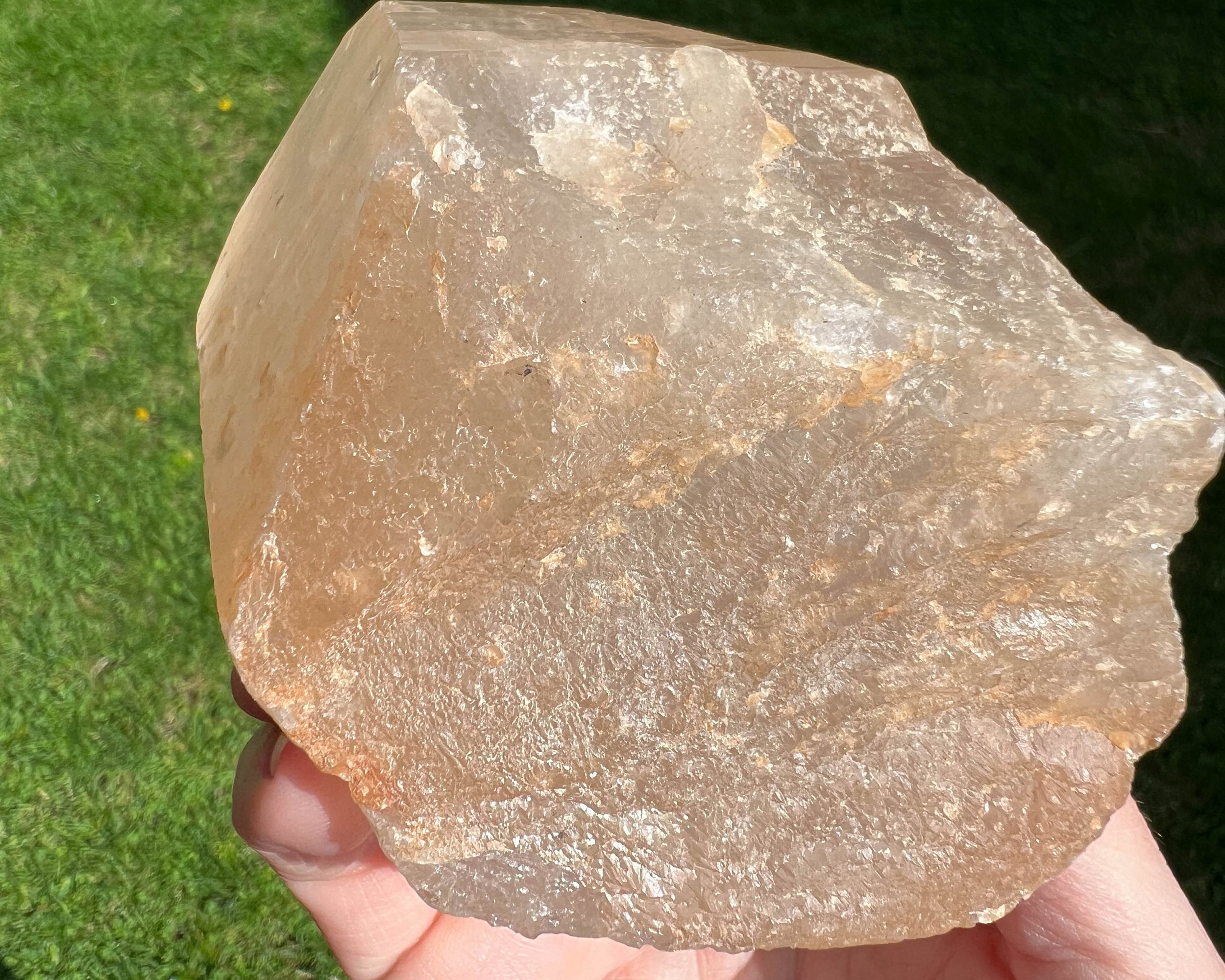 https://i.etsystatic.com/5955665/r/il/442df4/5196120893/il_fullxfull.5196120893_qf9o.jpg