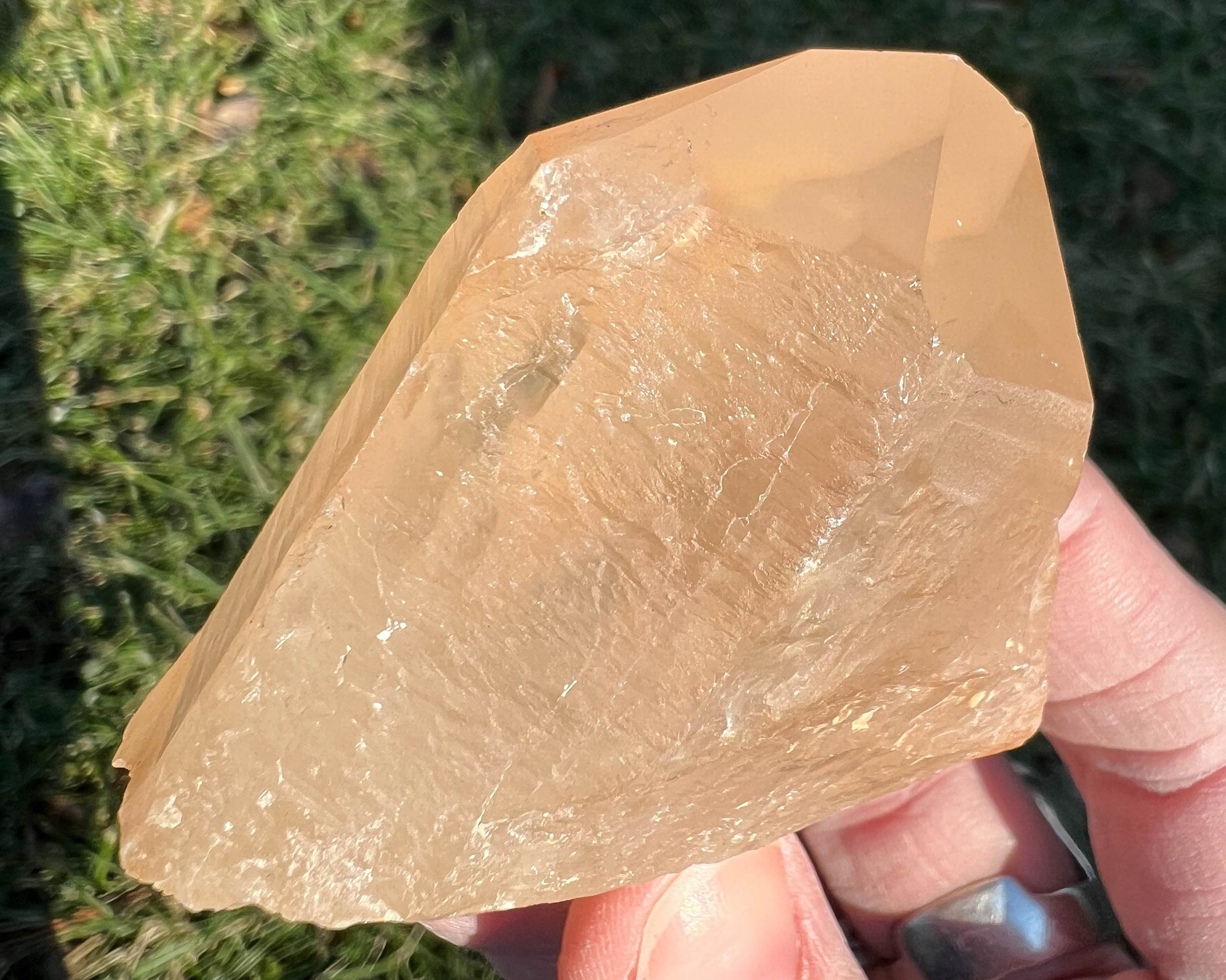 https://i.etsystatic.com/5955665/r/il/a960af/4702698845/il_fullxfull.4702698845_q53f.jpg