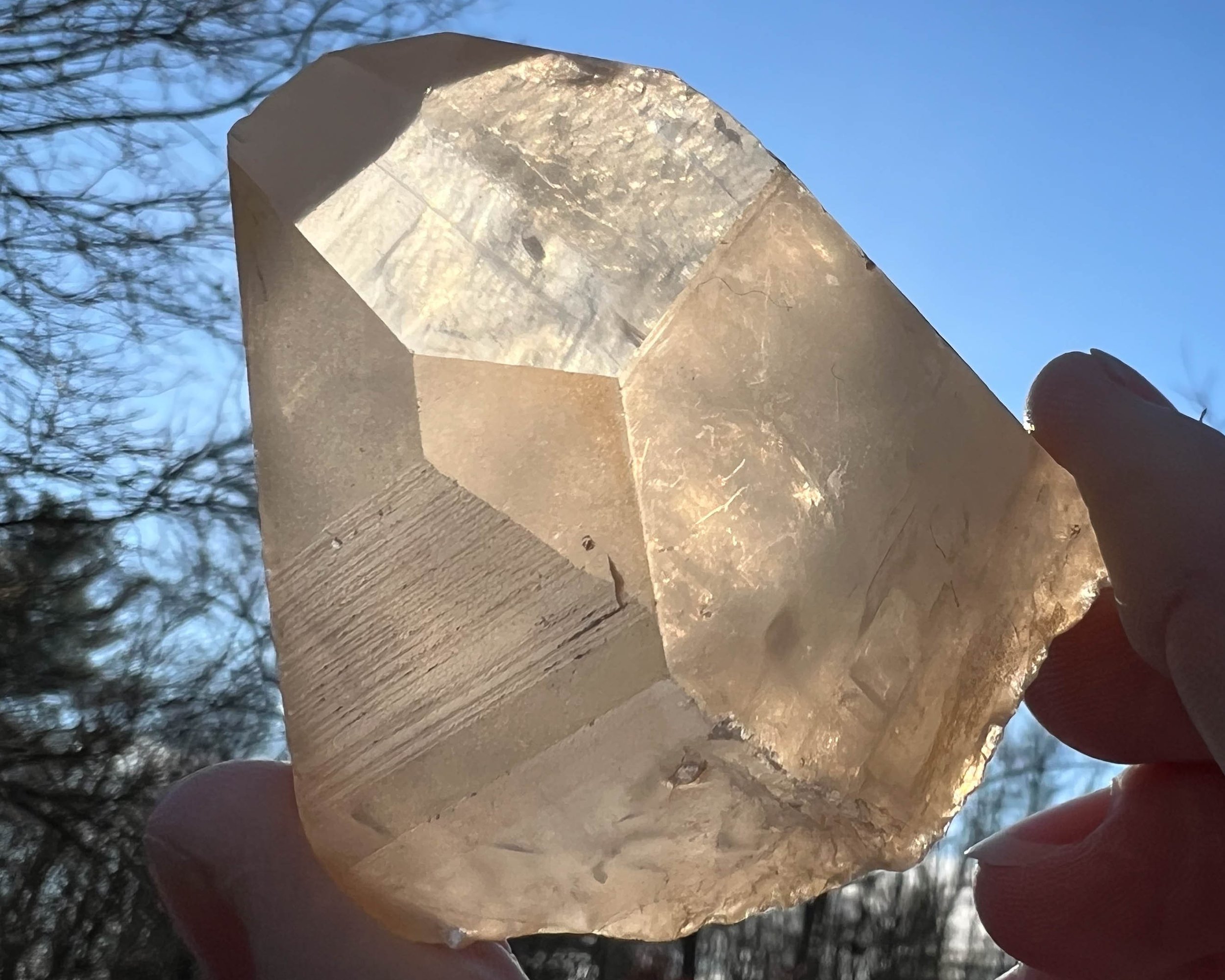 https://i.etsystatic.com/5955665/r/il/931a5d/4702698913/il_fullxfull.4702698913_3eoq.jpg