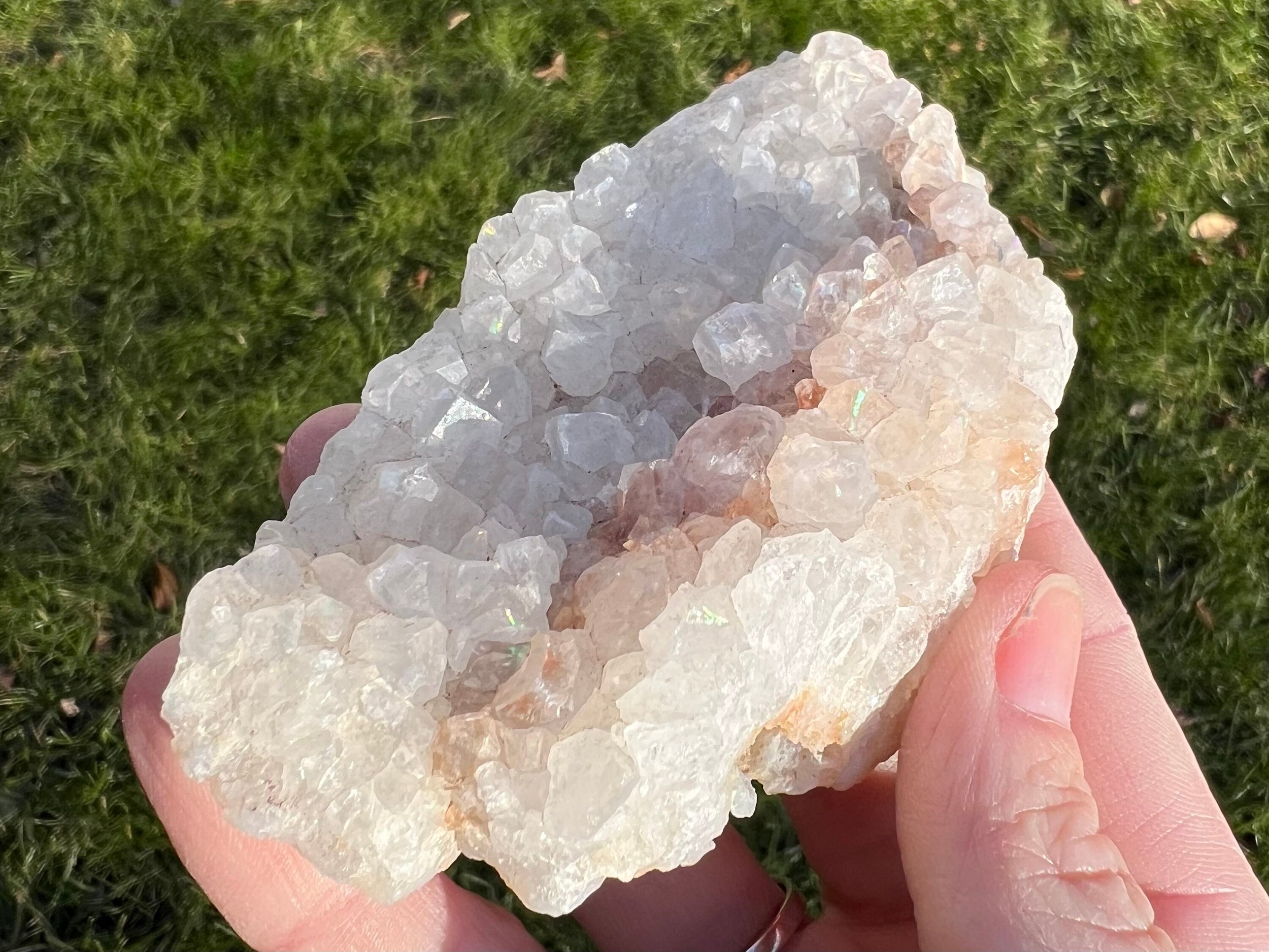 https://i.etsystatic.com/5955665/r/il/054c97/5865828855/il_fullxfull.5865828855_dxty.jpg