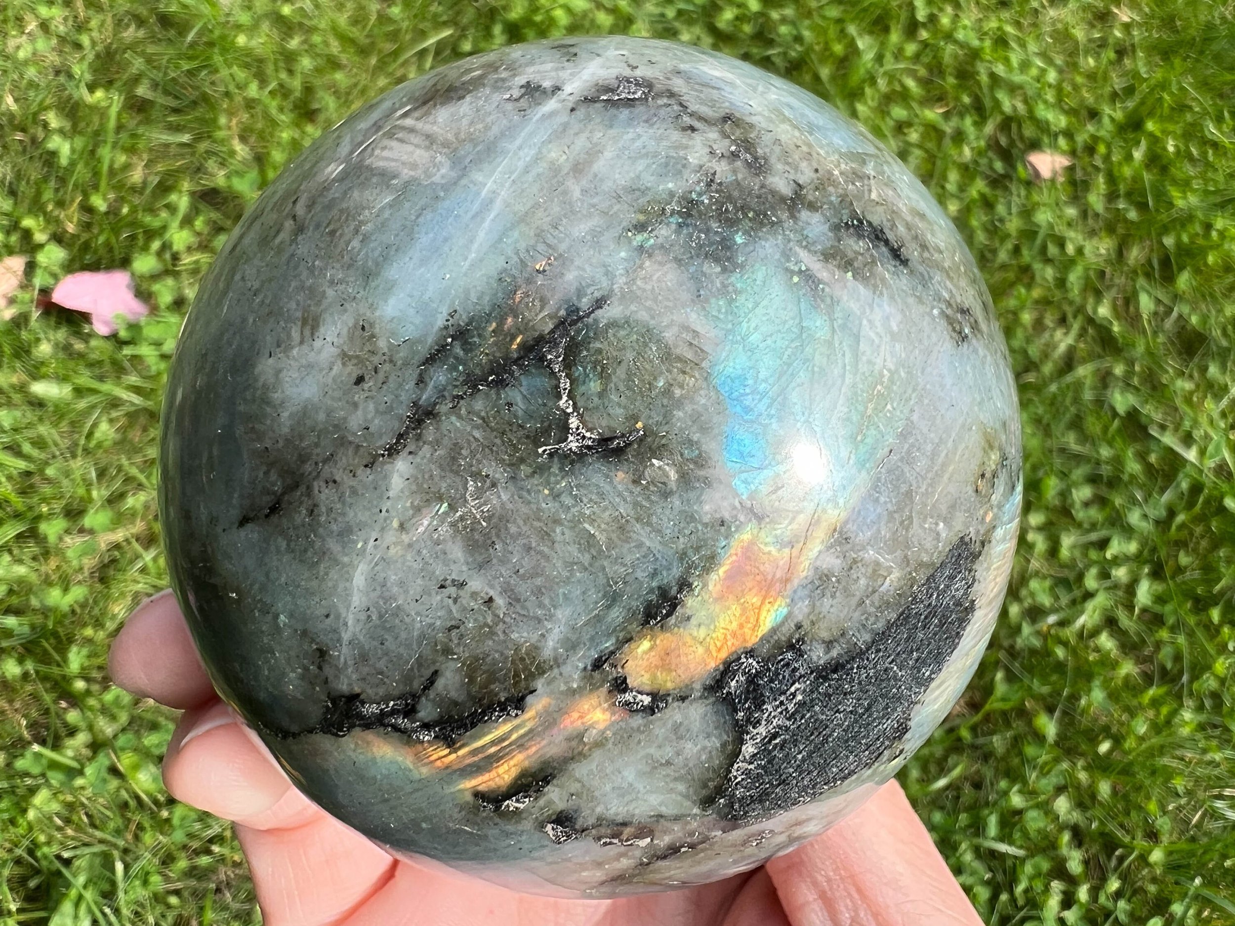 https://i.etsystatic.com/5955665/r/il/0b791d/5703277943/il_fullxfull.5703277943_c9p7.jpg