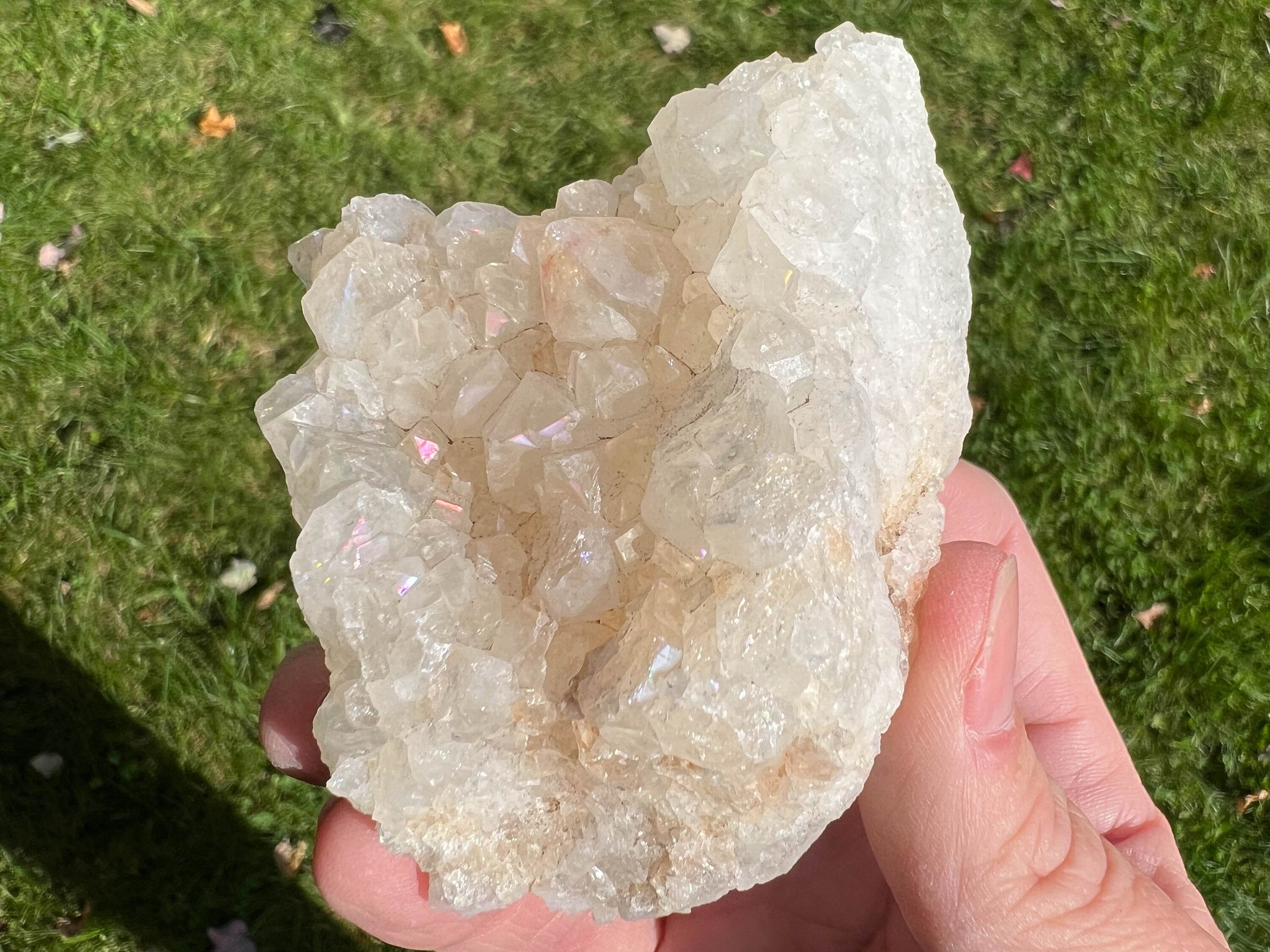 https://i.etsystatic.com/5955665/r/il/b298b2/5655553078/il_fullxfull.5655553078_4rvu.jpg